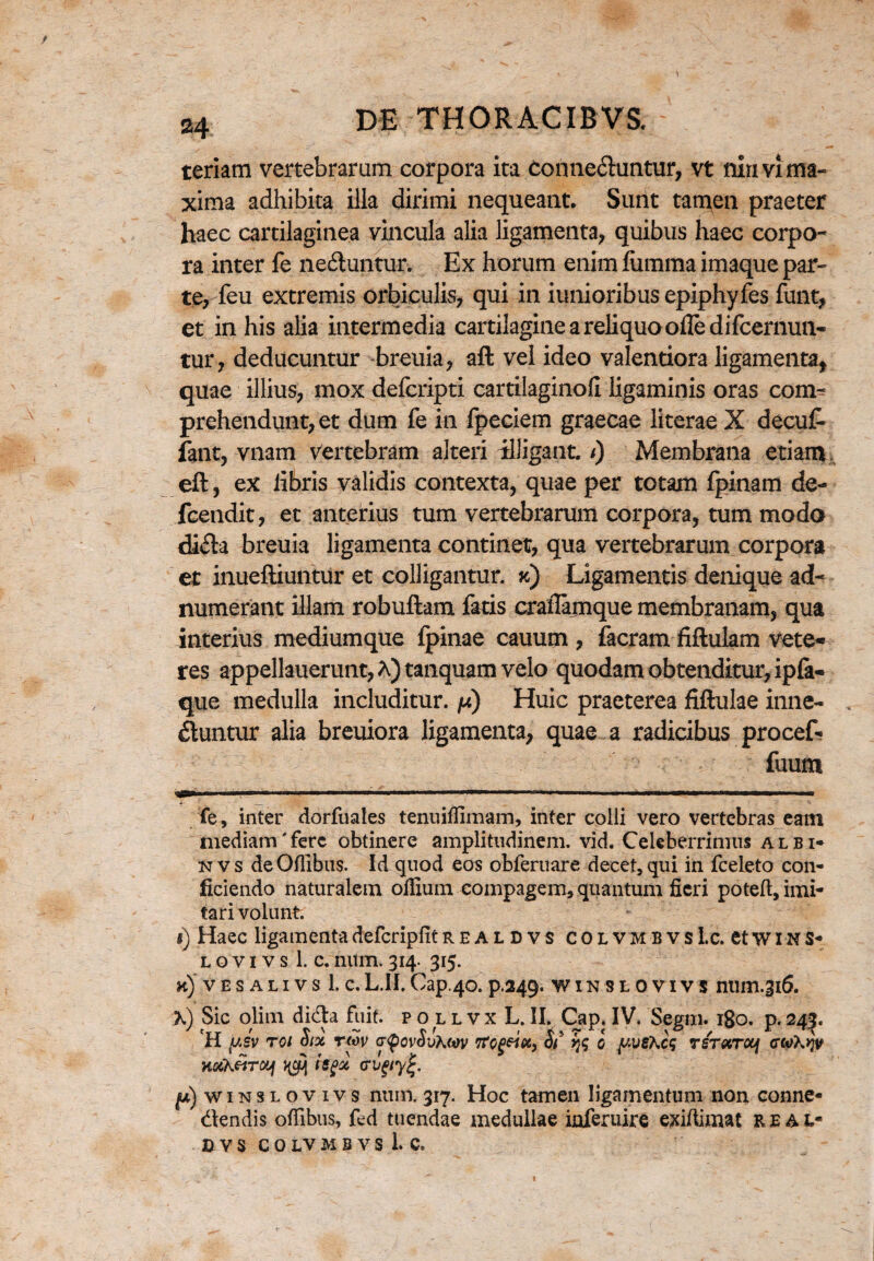 teriam vertebrarum corpora ita Conne&untur, vt ninvx ma¬ xima adhibita illa dirimi nequeant. Sunt tamen praeter haec cartilaginea vincula alia ligamenta, quibus haec corpo¬ ra inter fe ne&untur. Ex horum enim furnrna imaque par¬ te, feu extremis orbiculis, qui in iunioribus epiphyfes funt, et in his alia intermedia cartilagine a reliquo odedifcernun- tur, deducuntur breuia, aft vel ideo valentiora ligamenta, quae illius, mox defcripti cartilaginofl ligaminis oras com¬ prehendunt, et dum fe in fpeciem graecae literae X decuf- fant, vnam vertebram alteri illigant. /) Membrana etiam eft, ex libris validis contexta, quae per totam Ipinam de- fcendit, et anterius tum vertebrarum corpora, tum modo di«5ta breuia ligamenta continet, qua vertebrarum corpora et inueftiuntur et colligantur, k) Ligamentis denique ad- numerant illam robuftam fatis craflamque membranam, qua interius mediumque fpinae cauum , facram fiftulam vete* res appellauerunt,A)tanquamvelo quodam obtenditur, ipfa- que medulla includitur, /u) Huic praeterea fiftulae inne¬ ctuntur alia breuiora ligamenta, quae a radicibus procef* fuum fe, inter dorfuales tenuilfimam, inter colli vero vertebras eatn mediam'fere obtinere amplitudinem, vid. Celeberrimus albi* kvs deOflibus. Id quod eos obferuare decet,qui in fceleto con¬ ficiendo naturalem olfium compagem, quantum fieri poteft, imi¬ tari volunt. i) Haec ligamentadefcripfitrealdvs colvmbvsLc. et w i nS- l o v i v s 1. c. nitm. 314. 315. k) V E S A L I V S 1. c. L.II. Cap.40. p.249. WINSLOVIVS ntim.316. X) Sic olim dida hiit. pollvxL.II. Cap. IV. Segm. 180. p.243. H yJv Tot Six rm a^ovSvKw rtegein, Si' jj<j 0 fAveheg rsTaroq ctoXyjv KxkftTcy tsgot, <rvfty%. p) wiNSLOVivs nuin. 317. Hoc tamen ligamentum non conne- dendis offibus, fed tuendae medullae inferuire exiftimat real« X> V S COLVMBVS 1. C.