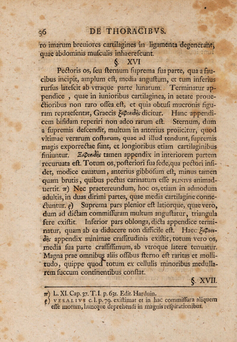 ro imarum breuiores cartilagines in ligamenta degenerant^ quae abdominis mufculis inhaerefcunt. §. XVI Pe&oris os, feu fternum fuprema fua parte, qua a fau¬ cibus incipit, amplum eft, media anguftum, et tum inferius rurfus latefcit ab vtraque parte lunatum. Terminatur ap¬ pendice , quae in iunioribus cartilaginea, in aetate proue- «ftioribus non raro offea eft, et quia obtuli mucronis figu¬ ram repraefentat, Graecis fy(pcei$rjs dicitur. Hanc appendi¬ cem bifidam reperiri non adeo rarum eft. Sternum, dum a fupremis defcendit, multum in anterius proficitur* quod vltimae verarum coftarum, quae ad illud tendunt, fupremis magis exporreftae funt, et longioribus etiam cartilaginibus finiuntur. Sttpu&Syis tamen appendix in interiorem partem recuruata eft. Totum os, pofteriori fuafede,qua peftori infi- det, modice cauatum, anterius gibbofum eft, minus tamen quam brutis, quibus petftus carinatum elle plinivs animad- uertit. it) Nec praetereundum, hoc os, etiam in admodum adultis, in duas dirimi partes, quae media cartilagine conne- ftuntur. f) Suprema pars plenior eft latiorque, quae vero, dum ad dicftam commifturam multum anguftatur, triangula fere exiftit. Inferior pars oblonga, di<fta appendice termi¬ natur, quam ab ea diducere non difficile eft. Haec fytyeet- Sfjs appendix minimae crafiitudinis exiftit, totum vero os, media fua parte craffiffimum, ab vtroque latere tenuatur. Magna prae omnibus aliis offibus fterno eft raritas et molli- ' tudo, quippe quod*totum ex cellulis minoribus medulla¬ rem fuccum continentibus conftat. §. XVII. jr) L. XI. Cap. 37. T. I. p. 631. Edit. Harduin. g) ves alivs c. 1.p.79. exiftimat et in hac commi/Tura aliquem effe motum, huneque deprehendi in magnis reipi rationibus.