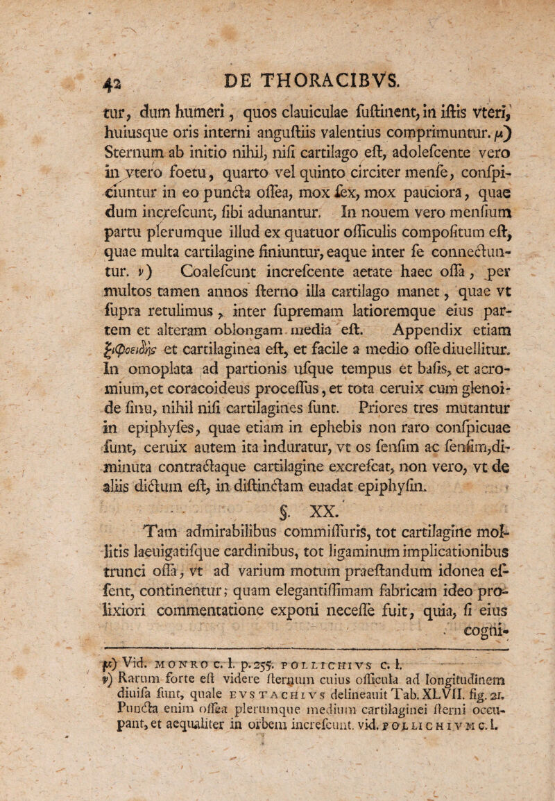 tur, dum humeri , quos clauiculae fuftinent, in iftis vteri, huiusque oris interni anguftiis valentius comprimuntur, p) Sternum ab initio nihil, nifi cartilago eft, adolefcente vero in ytero foetu, quarto vel quinto circiter menfe, confpi- ciuntur in eo puntfta offea, mox fex, mox pauciora, quae dum incjrefcunt, fibi adunantur. In nouem vero menfium partu plerumque illud ex quatuor officulis compofitum eft, quae multa cartilagine finiuntur, eaque inter fe connectun- tur. v) Coalefcunt increfcente aetate haec olTa, per multos tamen annos fterno illa cartilago manet, quae vt fupra retulimus, inter fupremam latioremque eius par¬ tem et alteram oblongam media eft. Appendix etiam et cartilaginea eft, et facile a medio olle diu eliitur» In omoplata ad partionis ufque tempus et bafts, et aero- mium,et coracoideus proceftus,et tota ceruix cum glenoi- de finu, nihil nili cartilagines funt. Priores tres mutantur In epiphyfes, quae etiam in ephebis non raro confpicuae funt, ceruix autem ita induratur, vt os fenfim ac fenfim,di¬ minuta contraftaque cartilagine excrefcat, non vero, vt de aliis diftum eft, in diftinctam euadat epiphyfin* - - §. XX Tam admirabilibus commifliiris, tot cartilagine mol¬ litis laeuigatifque cardinibus, tot ligaminum implicationibus trunci ofla, vt ad varium motum praeftandum idonea el- fent, continentur; quam elegantiffimam fabricam ideo pro¬ lixiori commentatione exponi necefle fuit, quia, fi eius ' 'Y* ' • cogtii* ft) Vid. M O NRO C. I. p.255, P OL LICHI VST c. 1. 9) Rarum forte eft videre [tergum cuius oillctik ad longitudinem diuifa funt, quale evstachivs delineauitTab.XLVIL %.21, Pundta enim oftea plerumque medium cartilaginei fterni occu¬