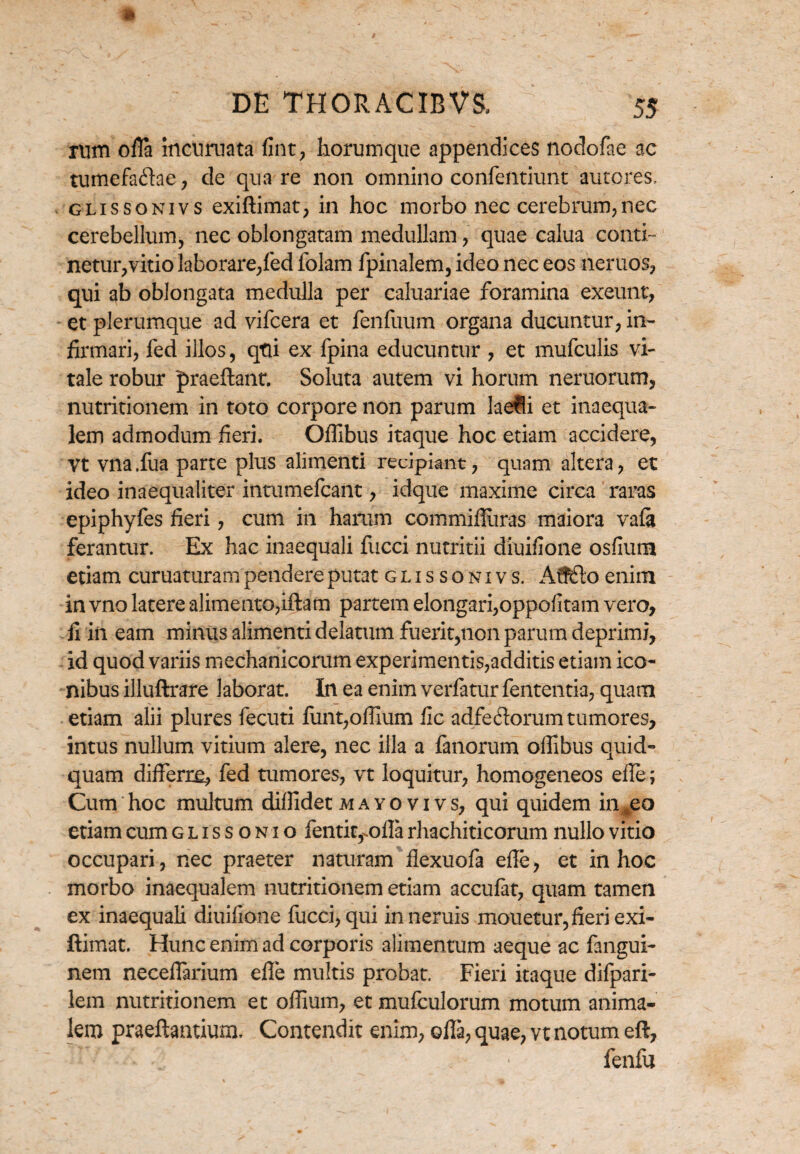 rum offi incuruata fint, horumque appendices nodofae ac tumefatflae, de quare non omnino confentiunt autores, glissonivs exiftimat, in hoc morbo nec cerebrum,nec cerebellum, nec oblongatam medullam, quae calua conti- netur,vitio laborare,fed folam fpinalem, ideo nec eos neruos, qui ab oblongata medulla per caluariae foramina exeunt, et plerumque ad vifcera et fenfuum organa ducuntur, in¬ firmari, fed illos, qfii ex fpina educuntur , et mufculis vi¬ tale robur praeftant. Soluta autem vi horum neruorum, nutritionem in toto corpore non parum laefli et inaequa¬ lem admodum fieri. Ofilbus itaque hoc etiam accidere, vt vna.fua parte plus alimenti recipiant, quam altera, et ideo inaequaliter inmmefcant, idque maxime circa raras epiphyfes fieri, cum in harum commifliiras maiora vafa ferantur. Ex hac inaequali fucci nutritii diuifione osfium etiam curuaturam pendere putat glissonivs. Aflfto enim in vno latere alimento,iftam partem elongari,oppofitam vero, ii in eam minus alimenti delatum fuerit,non parum deprimi, id quod variis mechanicorum experimentis,additis etiam ico¬ nibus illuftrare laborat. In ea enim verfatur lententia, quam etiam alii plures fecuti funt,offium fic adfeftorum tumores, intus nullum vitium alere, nec illa a fanorum offibus quid¬ quam differre, fed tumores, vt loquitur, homogeneos efle; Cum hoc multum diffidet mayovivs, qui quidem in ^eo etiam cum glissonio fent%ofla rhachiticorum nullo vitio occupari, nec praeter naturam flexuofa efle, et in hoc morbo inaequalem nutritionem etiam accufat, quam tamen ex inaequali diuifione fucci, qui in neruis mouetur, fieri exi¬ ftimat. Hunc enim ad corporis alimentum aeque ac fangui- nem neceflarium efle multis probat. Fieri itaque difpari- lem nutritionem et offium, et mufculorum motum anima¬ lem praeftamium. Contendit enim, offa, quae, vt notum eft, fenfu