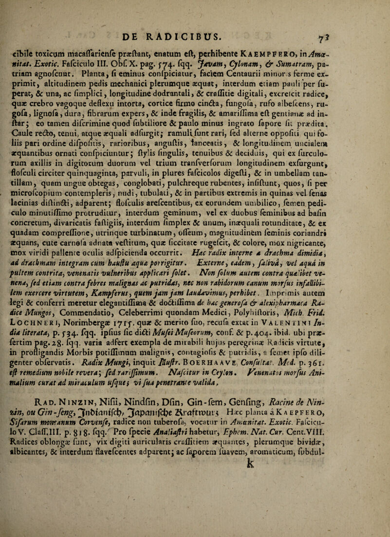 7J cibile toxicum macaflarienfe pracftant, enatam eft, perhibente Kaempfrro, in^war- nitat. Exotic. Fafciculo III. Obf X. pag. ^74. fqq. Jovam, Cjlmam, & Sumatram, pa¬ triam agnofcunt. Planta, fi eminus confpiciatur, faciem Centaurii minor s ferme ex¬ primit, altitudinem pedis mechanici plerumque aequat, interdum etiam pauli'per fu- perat, & una, ac fimplici, longitudine dodrantali, & craffitie digitali, excreicit radice, quae crebro vagoque deflexu intorta, cortice firmo cin&a, fungo fa, rufo albefcens^ ru- gofa, lignofa, dura, fibrarum expers, & inde fragilis, & amarillima eft gentiana ad in- ftar; eo tamen difcrimine quod fubtiliore & paulo minus ingrato fapore fii pra*dita. Caule redo, tenui, atque aequali adfurgit; ramuli funt rari, fed alterne oppofiti qui fo¬ liis pari ordine difpoluis, rarioribus, anguftis, lanceatis, & longitudinem uncialem aequantibus ornati conlpiciuntur; flylis fingulis, tenuibus 8c deciduis, qui ex furculo- rum axillis in digitorum duorum vel trium tranfverforum longitudinem exfurgunt, flofculi circiter quinquaginta, parvuli, in plures fafcicolos digefti, & in umbellam tan¬ tillam, quam ungue obtegas, conglobati, pulchreque rubentes, infiftunt, quos, fi per microfcopium contempleris, nudi, tubulati, & in partibus extremis in quinas vel fenas lacinias diftin&i, adparent; flofculis arelcentibus, ex eorundem umbilico, femen pedi¬ culo minuti/limo protruditur, interdum geminum, vel ex duobus feminibus ad bafin concretum, divaricatis fafligiis, interdum fimplex Sc unum, inaequali rotunditate, & ex quadam compreflione, utrinque turbinatum, ofleum, magnitudinem feminis coriandri aequans, cute carnola adnat« veflitum, quae ficcitate rugefcit, & colore, mox nigricante, mox viridi pallente oculis adfpicienda occurrit. Hac radix interne a drachma dimidia, ad drachmam integram cum hauftu aqua porrigitur. Externe, eadem, ftliva, vel aqua in pultem contrita, venenatis vulneribus applicari folet. Non folum autem contra qualibet ve¬ nena, fed etiam contra febres malignas ac putridas, nec non rabidorum canum morfus infallibi¬ lem exercere virtutem, Kampferus, quem jam jam laudavimus, perhibet, Imprimis autem legi & conferri meretur eleganti (lima & do&iflima de hac gener ofa & alexipharmaca Ra¬ dice Mungos, Commendatio, Celeberrimi quondam Medici, Polyhiftoris, Mkh Frid. Lochneri, Norimbergae 171 y. quae & merito fuo, recula extat in Valentini In¬ dia literata, p. $-34. fqq. ipfius fic didi Mufei Mufecrum, conf. & p.404. ibid. ubi prae- fertim pag.28* fqq, varia adferc exempla de mirabili hujus peregrinae Radicis virtute, in profligandis Morbis potiflimnm malignis, contagiofis & putridis, 0 femet ipfo dili¬ genter obfervatis. Radix Mungi, inquit Iduftr. Boerhaave. Confultat. Mcd. p. 3 61. eft remedium nobile revera, fed rarijjimum. Nafcitur in Ceylon* Venenatos morfus Ani¬ malium curat ad miraculum ufque$ vi fua penetrante valida, Rad. N inzin, Nifii> Nindfin, Dfin, Gin-fetn, Genfing, Racirn de Nin- %in, ou Gin -feng, jfnbwntfc^; Rraftnmt $ Htx plama a K a e p f e r o, Sifarum montanum Corvenfe, radice non tuberofa, vocatur in Amccnitat. Exotic. Fafcicu- lo V. ClafT.III. p. 818* fqq* Pro fpecie Analiaflri habetur, Ephem. Nat. Cur. Cent.VilL Radices oblongae funt, vix digiti auricularis craflitiein aequantes, plerumque bividar, albicantes, & interdum flavefcentes adparent; ac faporem fuavem, aromaticum, fubdul- k