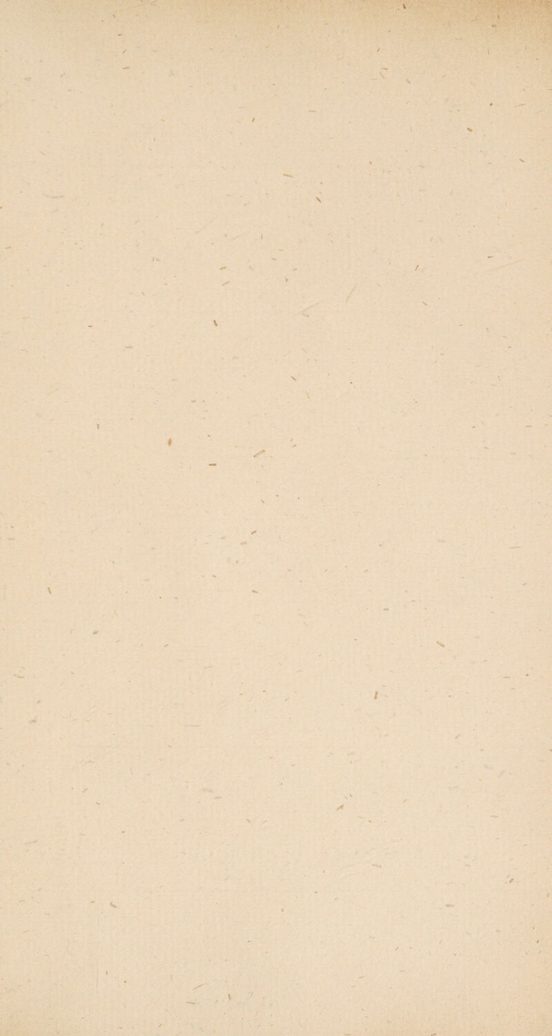 / f . \ \ \ % \ t *• * / \ X \ t \ I f * ' \ \ 7 / \ '