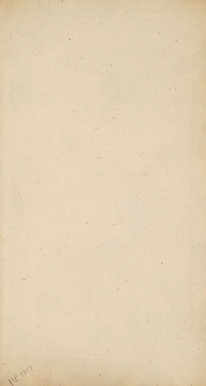 i ). \ / V / _ \ ■ \