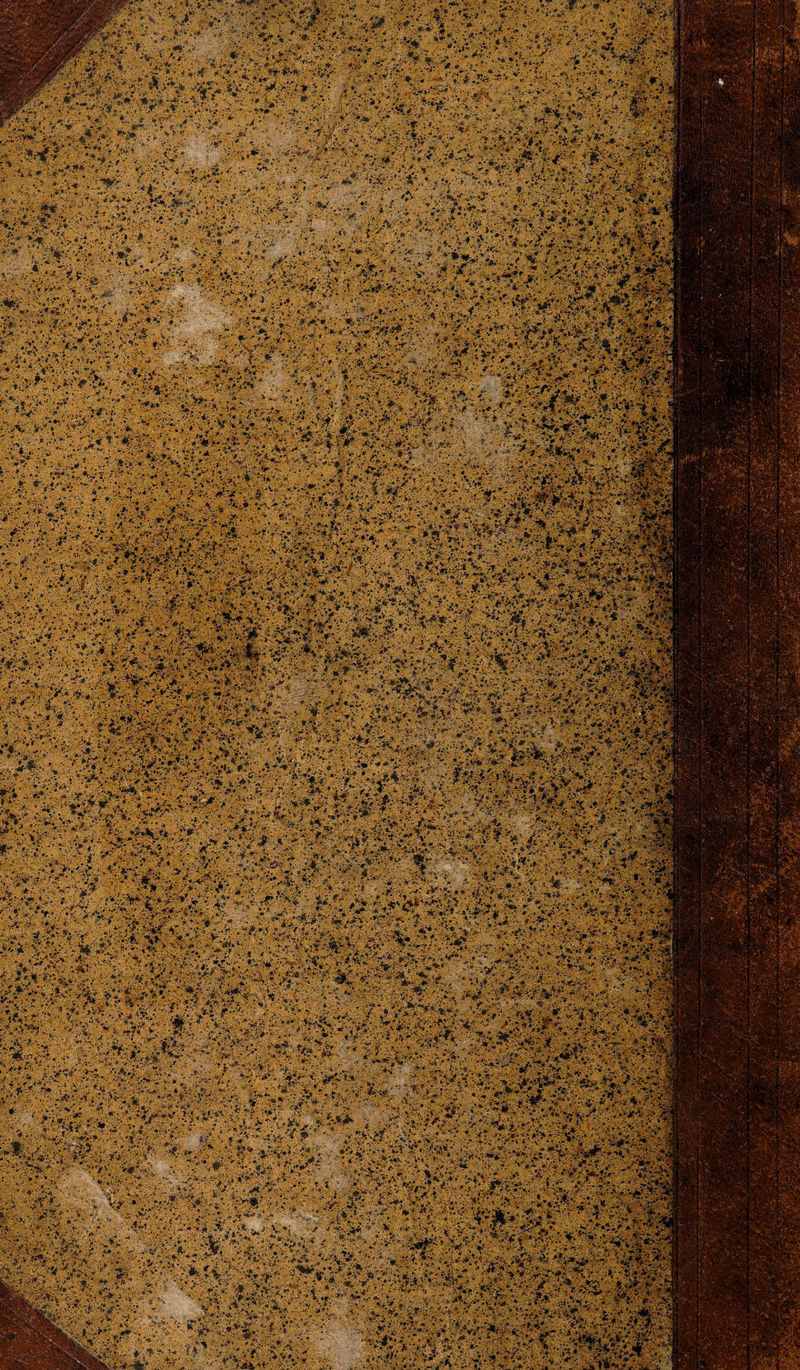 >,V* **',/, *v V.*1' :%^v.:;-.;;v» v-. • äm