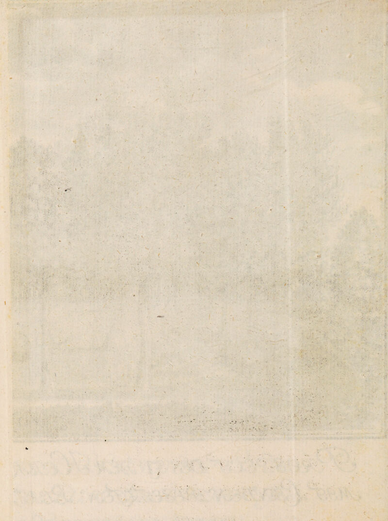 V • ; • '■ i) / 'Ja