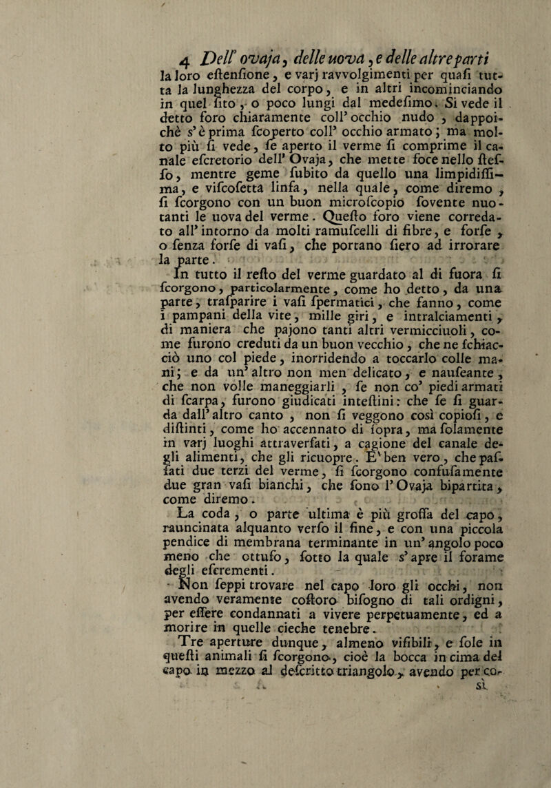 / 4 Dell' ovaja, delle uova, e delle altre farti la loro eftenfione, e varj ravvolgimenti per quali tut- ta Ja lunghezza del corpo, e in altri incominciando in quel fito o poco lungi dal medefimo, Si vede il detto foro chiaramente coll5 occhio nudo , dappoi¬ ché s5 è prima fcoperto coll5 occhio armato ; ma mol¬ to più fi vede, fe aperto il verme fi comprime il ca¬ nale efcretorio dell* Ovaja, che mette foce nello fief- fo, mentre geme fubito da quello una limpidi ffi- ma, e vifcofetta linfa, nella quale, come diremo , fi fcorgono con un buon microfcopio fovente nuo¬ tanti le uova del verme. Quello foro viene correda¬ to all’intorno da molti ramufcelli di fibre, e forfè , o fenza forfè di vafi, che portano fiero ad irrorare la parte. > In tutto il reflo del verme guardato al di fuora fi fcorgono, particolarmente, come ho detto, da una parte, trafparire i vafi fpermatici, che fanno, come i pampani della vite, mille giri, e intralciamenti , di maniera che pajono tanti altri vermicciuoli, co¬ me furono creduti da un buon vecchio , che ne fchiac- ciò uno col piede, inorridendo a toccarlo colle ma¬ ni; e da un5altro non men delicato, e naufeante , che non volle maneggiarli , fe non co5 piedi armati di fcarpa, furono giudicati inteftini: che fe fi guar¬ da dall5 altro canto , non fi veggono così copiofi, e diflinti, come ho accennato di fopra, ma fidamente in varj luoghi attraverfati, a cagione del canale de¬ gli alimenti, che gli ricuopre. Evben vero, chepaf- fati due terzi del verme, fi fcorgono confufamente due gran vafi bianchi, che fono l5Ovaja bipartita, come diremo. La coda , o parte ultima è più grofia del capo, rauncinata alquanto verfo il fine, e con una piccola pendice di membrana terminante in un5 angolo poco meno che ottufo, foteo la quale s5 apre il forame degli eferementi. - Non feppi trovare nel capo loro gli occhi, non avendo veramente cofloro bifogno di tali ordigni, per effere condannati a vivere perpetuamente, ed a morire in quelle cieche tenebre- Tre aperture dunque, almeno vifibilr, e fole in quelli animali fi fcorgono*, cioè la bocca in cima de! capo in mezzo al defcritto triangolo , avendo perco sì.