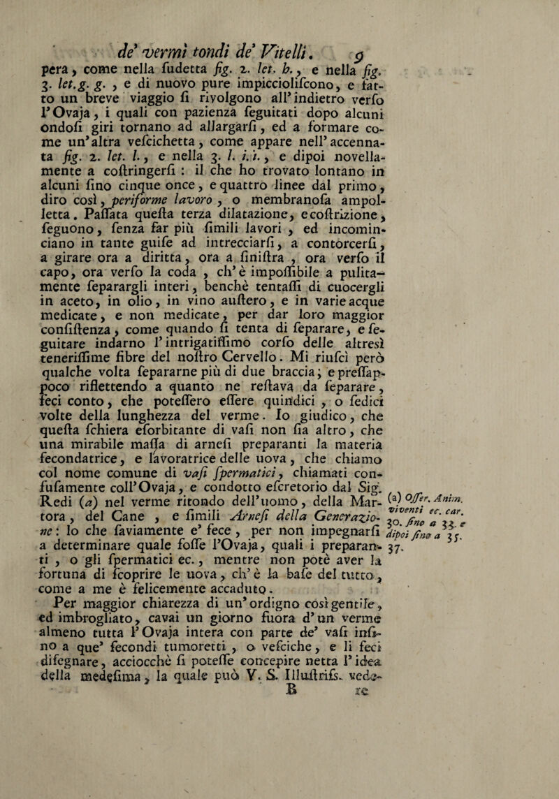 pera, come nella fudetta fig. z. let. h., e nella fig. 3. let.g. g. , e di nuovo pure impicciolifcono, e fat¬ to un breve viaggio fi rivolgono all’ indietro verfo l’Ovaja, i quali con pazienza feguitati dopo alcuni ondofi giri tornano ad allargar/!, ed a formare co¬ me un’altra vefcichetta, come appare nell’accenna¬ ta fig. 2. let. I, e nella 3. /. /. /., e dipoi novella- mente a co/lringerfi : il che ho trovato lontano in alcuni fino cinque once, e quattro linee dal primo, diro così, periforme lavoro , o membranofa ampol¬ letta . Pafiata quefta terza dilatazione, ecoftrizione, feguono, fenza far più fimili lavori , ed incomin¬ ciano in tante guife ad intrecciar/!, a contorcer/!, a girare ora a diritta, ora a finiftra , ora verfo il capo, ora verfo la coda , eh’è imponibile a pulita¬ mente feparargli interi, benché tenta/fi di cuocergli in aceto, in olio, in vino auftero, e in varie acque medicate, e non medicate, per dar loro maggior confiftenza, come quando fi tenta di feparare, efe- guitare indarno V intrigatifiimo corfo delle altresì teneri/fime fibre del noftro Cervello. Mi riufeì però qualche volta fepararne più di due braccia; epreflap- poco riflettendo a quanto ne reflava da feparare, feci conto, che poteflero efiere quindici , o fedici volte della lunghezza del verme. Io giudico, che quefta fchiera eforbitante di vafi non Zia altro, che una mirabile mafia di arnefi preparanti la materia fecondatrice, e lavoratrice delle uova, che chiamo col nome comune di vafi [perniatici, chiamati con- fufamente coll’Ovaja, e condotto eferetorio dal Sig. Redi (a) nel verme ritondo dell’uomo, della Mar- Anim- torà , del Cane , e fimili Arnefi della Generazìo- V^finc Z'iT'e ne: lo che faviamente e’ fece, per non impegnarli dipoi fin*al)* a determinare quale fofie FOvaja, quali i preparan- 37. ti , o gli fpermatici ec., mentre non potè aver la fortuna di /coprire le uova, eh5è la bafe del tutta, come a me è felicemente accaduto - Per maggior chiarezza di un’ordigno così gentile, ed imbrogliato, cavai un giorno fuora d’un verme almeno tutta FOvaja intera con parte de’ vafi infi¬ no a que’ fecondi tumoretti , a vefciche, e li feci difegnare, acciocché fi potefie concepire netta P idea della medefima, la quale può V. S. Illuflrifs. vede- s