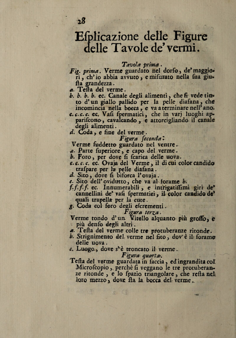 Efplicazione delle Figure delle Tavole de’ vermi.. Tavola prima. Fig» prima. Verme guardato nel dorfo, de’ maggio* ri, eh5 io abbia avvuto > e mifurato nella fua giu* Ha grandezza. a. Tetta del verme. b. t. b. b. ec. Canale degli alimenti, che fi* vedetta* to d’un giallo pallido per la pelle diafana, che incomincia nella bocca , e va a terminare nell* ano. c. c c.c. ec. Vali fpermatici, che in varj luoghi ap- parifeono, cavalcando , e attorcigliando il canale degli alimenti. d. Coda, e fine del verme. Figura fecondai Verme fiiddctto guardato nel ventre. a. Parte fuperiore, e capo del verme. b. Foro, per dove fi fcarica delle uova. c. c.c.c. ec. Ovaja del Verme , il di cui color candido trafpare per la pelle diafana. d. Sito, dove fi biforca l’ovaja. e. Sito dell’ovidutto, che va al forame b. frfiffi ec* Innumerabili , e intfigatiffimi giri de* cannellini de* vafi fpermatici, il color candido de* quali trapella per la cute. g. Coda eoi foro degli eferementi. Figura terza. Verme tondo d’un. Vitello alquanto più grotto, e più denfo degli altri . a. Tetta del verme colle tre protuberanze ritonde. b. Strignimento del verme nel fito, dov’ è ih forame delle uova. c. Luogo., dove s^è troncato il verme . Figura quarta. Tetta del verme guardata in faccia, ed ingrandita col Microfcopio,, perchè fi veggano le tre protuberan¬ ze ritonde , e lo fpazio triangolare, che retta ndk loro mezzo , dove tta la. bocca del: verme ^