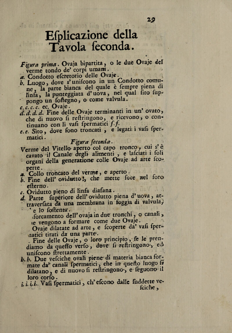 2p % », f. .. •* K • r , Efplicazione della Tavola feconda. < r 9 t Figura prima • Ovaja bipartita , o le due Ovaje del verme tondo de’ corpi umani. ■ a. Condotto efcretorio delle Ovaje. > b Luogo, dove s’unifcono in un Condotto comu- ' ' ne, la parte bianca, del quale è Tempre piena di linfa, la punteggiata d’uova, nel qual fito fup-  pongo un foftegno, o come valvula. c. c. c. c. ec. Ovaje • . . . . , d. d. d. d. Fine delle Ovaje terminanti in un ovato, che di nuovo fi reftringono, e ricevono, o con* tinuano con li vafi fpermatici.. e. e. Sito, dove fono troncati , e legati 1 vali (per¬ niatici . . , Figura Jecorna. - Verme del Vitello aperto col capo tronco y cui s’è cavato il Canale- degli alimenti , e falciati i ioli organi della generaiione colle Ovaje ad arte (co¬ perte . . a. Collo troncato del verme, e aperto. b. Fine dell* ovidutto !, che mette foce nel toro ellerno. • • . c. Ovidutto pieno di linfa diafana. d Parte fuperiore dell’ovidutto piena d uova, at- traverfata dà una membrana in foggia di valvola, ’ e Io foftenta’. - . . ,. ». forcamento dell ovaja in due tronchi, o canali, ie vengono a formare come due Ovaje. Ovaje dilatate ad arte, e fcoperte da’ vali (per¬ itatici tirati da una parte-. Fine delle Ovaje, o loro principio, fé le pren¬ diamo da queffo verfo, deve fi reftringono, ed unifcono ftrettamente. ... r L b. Due vefciche ovali piene di materia bianca for¬ mate da*' canali fpermatici, che in quefto luogo fi dilatano, e di nuovo fi reftringono, e legno no il loro corfo • ... i ì, IL Vafi fpermatici, ch’efcono dalle fuddette ve- IClCl)?C y i