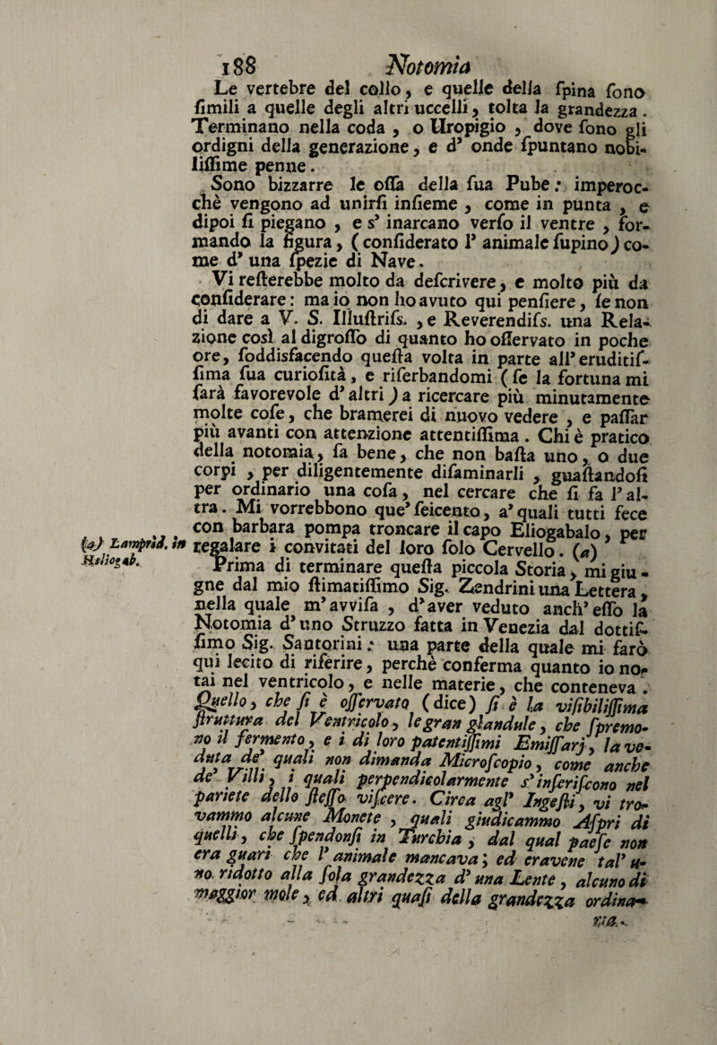 Le vertebre del collo , e quelle della fpina fono Amili a quelle degli altri uccelli, tolta Ja grandezza. Terminano nella coda , o Uropigio , dove fono gli ordigni delia generazione, e d’ onde fpuntano nobi- liffime penne. Sono bizzarre le otta della fua Pube : imperoc¬ ché vengono ad unirli infieme , come in punta , e dipoi fi piegano , e s5 inarcano verfo il ventre , for¬ mando la figura, ( confiderato P animale lupino ) co¬ me d* una fpezie di Nave. Vi Tetterebbe molto da defcrivere, e molto più da confiderare: ma io non ho avuto qui penfiere, le non di dare a V. S. Iliuftrifs. , e Reverendi^ una Rela¬ zione così al digroflò di quanto ho ottervato in poche ore, foddisfacendo quella volta in parte all*eruditif- fima fua curiofità, e riferendomi ( fe la fortuna mi farà favorevole d’altri)a ricercare più minutamente molte cole, che bramerei di nuovo vedere , e pattar piu avanti con attenzione attentiflima . Chi è pratico della notoraia , là bene j che non balìa tino y o due corpi , per diligentemente difaminarli , guadandoli per ordinario una cofa, nel cercare che lì fa V al¬ tra . Mi vorrebbono que’ feicento, a’ quali tutti fece , con barbara pompa troncare il capo Eliogabalo per regalare i convitati del loro folo Cervello. («) Prima di terminare quella piccola Storia, mi giu - gne dal mio lìimatiflimo Sig. Zendrini una Lettera nella quale m’avvifa , d’aver veduto anch’effo la Notomia d’uno Struzzo fatta in Venezia dal dotti?, fimo Sig. Santorini * una parte della quale mi farò qui lecito di riferire, perchè conferma quanto io no. tai nel ventricolo , e nelle materie y che conteneva . Quelloy che fi è ofervato (dice) fi è la vifibilifma bruttura del Ventricolo, le gran glandule, che [premo¬ no il fermento y e i dì loro patentijfimi Emi far}, la ve- iA?n- 9 • *??' Micro}copio, come anche de Ville, I quali perpendicolarmente s'inferirono nel parme dello fleffo vi fiere. Circa agl' Ingefii, vi tro¬ vammo alcune Monete , quali giudicammo slfpri di quelli, che fpendonfi in Turchia , dal qual paefe non era guari che i animale mancava, ed eravene taV u* no, ridotto alla fifa grandezza d'una Lente , alcuno di maggior mole x ed altri quafi della grandezza ordina«