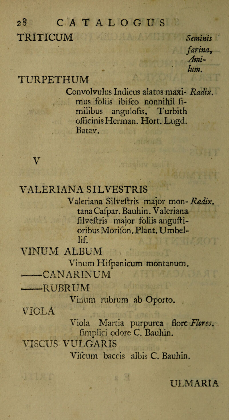 TRITICUM Seminis - farinay Ami- , _. .. _ _ __ _____ \ lum. TURPETHUM Convolvulus Indicus alatus maxi- Radix. mus foliis ibifco nonnihil fi- milibus angulofis, Turbith officinis Herman. Hort. Lugd. Batav. V VALERIANA SILVESTRIS Valeriana Silveftris major mon- Radix. tana Cafpar. Bauhin. Valeriana filveflris major foliis angufti- oribus Morifon. Plant. Umbel- lif. VINUM ALBUM Vinum Hifpanicum montanum. —CAN A RINU M ——RUBRUM , ••••; : Vinum rubrum ab Oporto. VIOLA Viola Martia purpurea fiore Flores. fimplici odore C. Bauhin. VISCUS VULGARIS Viicum baccis albis C. Bauhin. ULMARIA