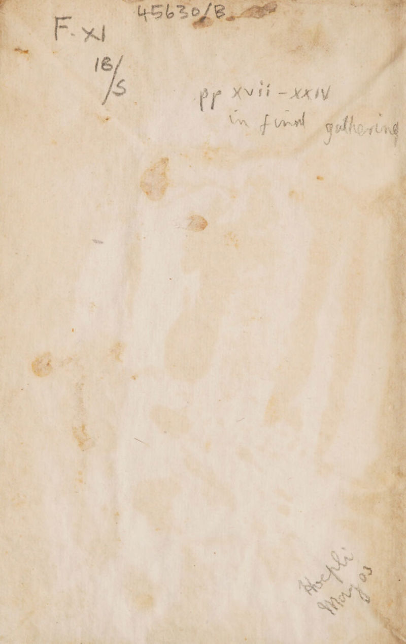 Dad Li > PA ‘ . Pi seÀ, x C- usi o . a è i: Shy 6; Z, = SS e