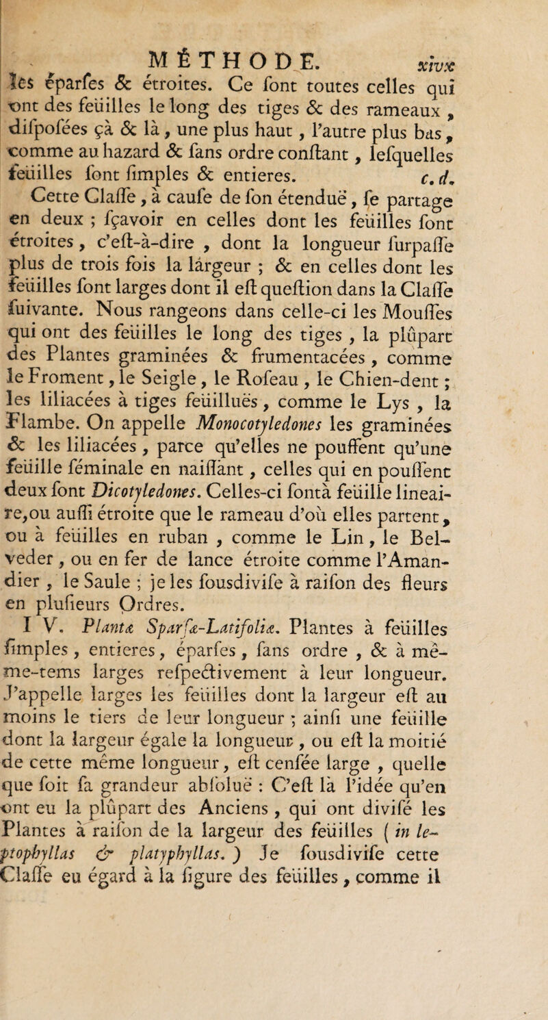 les éparfes & étroites. Ce font toutes celles qui tant des feuilles le long des tiges & des rameaux , diipofées çà & là, une plus haut, l’autre plus bas , comme au hazard 6c fans ordre confiant, lefquelles feuilles font fimples 6c entières. c. d. Cette Claffe, à caufe de fon étendue, fe partage en deux ; fçavoir en celles dont les feuilles font étroites, c’efl-à-dire , dont la longueur furpalfe plus de trois fois la largeur ; 6c en celles dont les feuilles font larges dont il efl queflion dans la Clade fuivante. Nous rangeons dans celle-ci les Moufles qui ont des feuilles le long des tiges , la plupart des Plantes graminées 6c frumentacées, comme le Froment, le Seigle, le Rofeau , le Chien-dent ; les liliacées à tiges feuillues, comme le Lys , la Flambe. On appelle Monocotyledones les graminées Sc les liliacées, parce qu’elles ne pouffent qu’une feuille féminale en naiflànt, celles qui en pouffent deux font Dicotylédones. Celles-ci fontà feuille linéai¬ re,ou aufli étroite que le rameau d’oix elles partent, ou à feiiilles en ruban , comme le Lin, le Bel- veder , ou en fer de lance étroite comme l’Aman¬ dier , le Saule ; je les fousdivife à raifon des fleurs en plufieurs Ordres. I V. Planta Sparfœ-Latifoliœ. Plantes à feiiilles Amples , entières, éparfes , fans ordre , 6c à me- me-tems larges refpeélivement à leur longueur, .l’appelle larges les feiiilles dont la largeur efl au moins le tiers de leur longueur ; ainfi une feiiille dont la largeur égale la longueur , ou efl la moitié de cette même longueur, efl cenfée large , quelle que foit fa grandeur abfoluë : C’efl là l’idée qu’en ont eu la plûpart des Anciens , qui ont divifé les Plantes à raifon de la largeur des feiiilles ( in le- popbyllas & platyphyllas. ) Je fousdivife cette Claffe eu égard à la figure des feiiilles, comme il