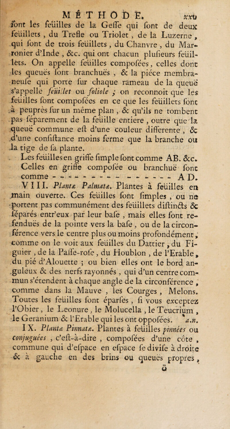 font les feuilles de la G elfe qui font de deux feuillets , du Trefle ou Triolet , de la Luzerne, qui font de trois feuillets, du Chanvre , du Mar- ronier d’Inde , 6cc. qui ont chacun plufieurs feuil¬ lets. On appelle feuilles compofées, celles dont les queues font branchuës , 6c la pièce membra- neufe qui porte fur chaque rameau de la queue s’appelle feuillet ou foliole y on reconnoit que les feuilles font compofées en ce que les feiiillets font à peuprès fur un même plan , 6c qu’ils ne tombent pas léparement de la feuille entière , outre que'la queue commune efb d’une couleur differente , 6c d’une confiftance moins ferme que la branche ou la tige de fa plante. Les feuilles en griffe fimple font comme AB. 6cc. Celles en griffe compofée ou branchuë font comme-- — - - - * --AD. VIII. Planta Palmata* Plantes à feuilles eu main ouverte. Ces feuilles font fimples , ou ne portent pas communément des feuillets diffinds 6c féparés entr’eux par leur bafe , mais elles font re¬ fendues de la pointe vers la bafe, ou de la circon¬ férence vers le centre plus ou moins profondément , comme on le voit aux feuilles du Dattier ÿ du Fi¬ guier , de la Paffe-rofe, du Houblon , de l’Erable » du pié d’Alouette ; ou bien elles ont le bord an¬ guleux 6c des nerfs rayonnés , qui d’un centre com¬ mun s’étendent à chaque angle de la circonférence , comme dans la Mauve , les Courges, Melons* Toutes les feuilles font éparfes, fi vous exceptez l’Obier, le Leonure, le Molucella , le Teucrium „ le Géranium 6c l’Erable qui les ont oppofées. % a.n. I X. Planta Pinnata. Plantes à feuilles pinnées ou conjuguées , c’eff-à-dire , compofées d’une côte , commune qui d’efpace en efpace fe divife à droite 6: à gauche en des brins ou queues propres, u