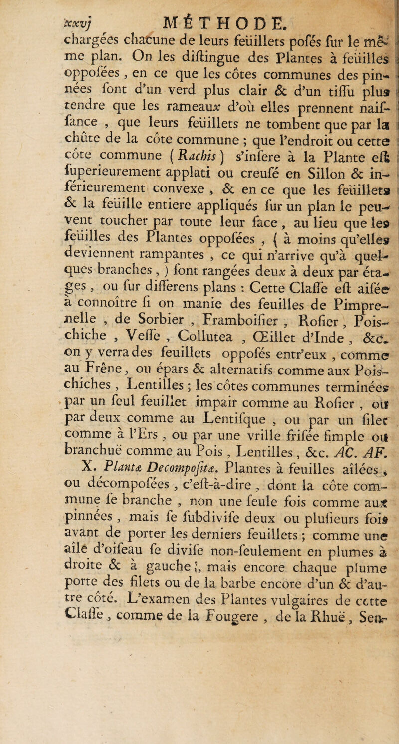 ■xxvj r MÉTHODE. chargées chacune de leurs feuillets pofés fur le me*1 me plan. On les diflingue des Plantes à feuilles oppofées , en ce que les cotes communes des pin- nées font d’un verd plus clair 6c d’un tiffu plus ! tendre que les rameaux d’où elles prennent naif- i fance , que leurs feuillets ne tombent que par la ! chûte de la côte commune ; que l’endroit ou cette côte commune ( Rachis ) s’infere à la Plante efl ! fu peri eur ement applati ou creufé en Sillon 6c in¬ férieurement convexe > 6c en ce que les feuilleta & la feuille entière appliqués fur un pian le peu-* vent toucher par toute leur face, au lieu que les feuilles des Plantes oppofées , ( à moins qu’elle® deviennent rampantes , ce qui n’arrive qu’à quel¬ ques branches , ) font rangées deux à deux par éta¬ pes , ou fur differens pians : Cette Claffe eft aifée à connoître fi on manie des feuilles de Pimpre- nelle , de Sorbier , Framboifîer , Rofier, Pois- chiche , Veffe , Collutea , Œillet d’Inde , 6c C. on y verra des feuillets oppofés entr’eux , comme au Frêne, ou épars 6c alternatifs comme aux Pois- chiches , Lentilles ; les côtes communes terminée® par un feul feuillet impair comme au Rofier , ou par deux comme au Lentifque , ou par un filet comme à l’Ers , ou par une vrille frifee fimple ou branchuë comme au Pois, Lentilles , ôcc. AC, AF. X. Planta, Decompofttœ. Plantes à feuilles ailées * ou décompofées , c’eft-à-dire , dont la côte com¬ mune le branche , non une feule fois comme au,* pinnées , mais fe fubdivife deux ou plufieurs fois ayant de porter les derniers feuillets ; comme une ailé d’oifeau fe divife non-feulement en plumes à droite 6c à gauche h mais encore chaque plume porte^ des filets ou de la barbe encore d’un 6c d’au¬ tre coté. L’examen des Plantes vulgaires de cette Claffe , comme de la Fougere , de la Rhuë, Sea-