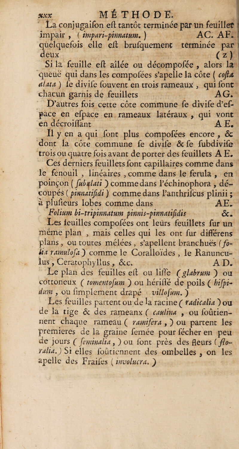 La conjugaifon eft tantôt terminée par un feuillet impair , ( impari-pinnatum. ) AC. AF. quelquefois elle eft brufquemenc terminée par deux ( z ) Si la feuille eft ailée ou décompofée , alors la queue qui dans les compofées s’apelle la côte ( cofta alata ) fe divife fouvent en trois rameaux , qui font chacun garnis de feuillets AG. D’autres fois cette côte commune fe divife d’ef- pace en efpace en rameaux latéraux , qui vont en décroiflànt A E. Il y en a qui font plus compofées encore , <5c dont la côte commune fe divife ôc fe fubdivife trois ou quatre fois avant de porter des feuillets A E. Ces derniers feuillets font capillaires comme dans le fenouil , linéaires , comme dans le ferula , en poinçon ( fubdati ) comme dans l’échinophora , dé¬ coupés ( pinnatifidi ) comme dans Tanthrifcus plinii ; à plufieurs lobes comme dans AE. Folium bi-trïpinnatum pinnts-pinnatifidis &. Les feuilles compofées ont leurs feuillets fur un même plan , mais celles qui les ont fur differens plans, ou toutes mêlées , s’apellent branchuès (fo¬ lia ramulofa ) comme le Coralloïdes , le Ranuncu¬ lus , Ceratophyllus , &c. A D. Le plan des feuilles eft ou lifte (glabrum ) ou cottoneux ( tomentorum ) ou hériffé de poils ( hifpi- dum 9 ou ftmplement drapé j villofum. ) Les feuilles partent ou de la racine ( radicalia ) ou de la tige & des rameanx ( caulina , ou foûtien- nent chaque rameau ( ramifera , ) ou partent les premières de la graine femée pour fécher en peu de jours ( feminalia, ) ou font près des fleurs ( flo¬ ralia.) Si elles foûtiennent des ombelles s on les apelle des Fraifes ( involucra. )