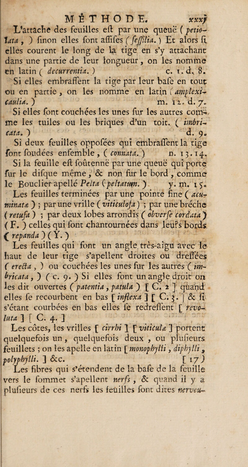 L’attache des feuilles eft par une queue ( petto- lata , ) finon elles font affifes ( fejplia. ) Et alors fi elles courent le long de la tige en s’y attachant dans une partie de leur longueur, on les nomme en latin ( decurrentia. ) c. 8. Si elles embraffent la tige par leur bafe en tout ou en partie , on les nomme en latin ( atnflexi- caulia. ) m. i i, d. 7* Si elles font couchées les unes fur les autres com^ me les tuiles ou les briques d’un toit. ( imbri- tatam ) d. Si deux feuilles oppofées qui embraffent la tige font foudées enfemble , ( connata. ) n. 1 3.14* Si la feuille eft foûtennë par une queue qui porte, fur le difque même, & non fur le bord, comme le Bouclier apellé Pelta (peltatum. ). y. m. 1 5« Les feuilles terminées par une pointe fine ( acu- minata ) ; par une vrille ( viticulofa ) ; par une brèche ( r e tuf a ) ; par deux lobes arrondis ( obverfe cordata ) ( F. ) celles qui font chantournées dans leu?s bords. ( repanda ) ( Y. ) Les feuilles qui font un angle très-aigu avec le haut de leur tige s’apellent droites ou dreffées ( erefîa , ) ou couchées les unes fur les autres ( im¬ bricata, ) ( c. 9. ) Si elles font un angle droit on les dit ouvertes ( patentia ,patula ) [ C. 1 ] quand elles fe recourbent en bas [ inflexa ] [ C. j. ] <5c fi s’étant courbées en bas elles fe redreffent [ revo- lut a ] [ C. 4. 1 Les cotes, les vrilles [ ctrrhi ] [ viticula ] portent quelquefois un, quelquefois deux , ou plufieurs feuillets ; on les apelle en latin [ monophylii, diphjlli 9 polyphylli. ] &c. [17} Les fibres qui s’étendent de la bafe de la feuille vers le fommet s’apellent nerfs, & quand il y a plufieurs de ces nerfs les feuilles font dites nerveu~