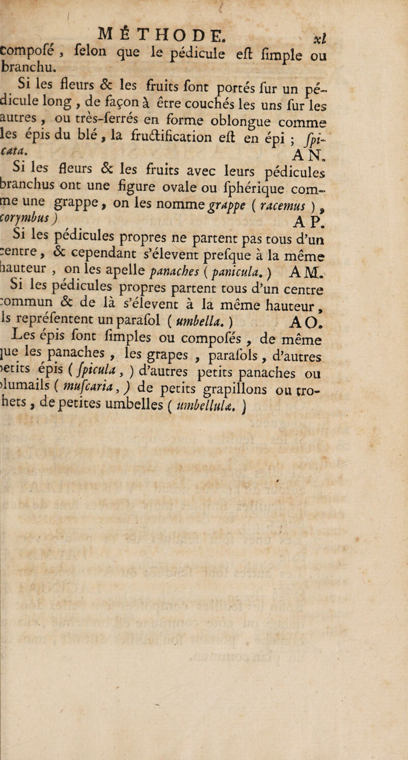 Compofe , félon que le pédicule efl: fimple ou branchu. Si les fleurs 8c les fruits font portés fur un pé— dicule long , de façon à être couchés les uns fur les autres, ou très-ferrés en forme oblongue comme les épis du blé, la fructification efl en épi ; fpi. cata. a jq Si les fleurs & les fruits avec leurs pédicules branchus ont une figure ovale ou fphérique com¬ me une grappe, on les nomme grappe ( racemus ) , corymbus ) p Si les pédicules propres ne partent pas tous d’un .entre, <Sc cependant s’élèvent prefque à la même hauteur , on les apelle panaches ( panicula. ) A M. Si les pédicules propres partent tous d’un centre :ommun & de là s’élèvent à la même hauteur, ls repréfentent un parafol ( umbella. ) A O. Les épis font fimples ou compofés , de même jue les^ panaches , les grapes , parafols , d’autres petits épis ( fpicula, ) d’autres petits panaches ou dumails ( mufcaria, ) de petits grapillons ou tro- hets, de petites umbelles ( umbelluU. )