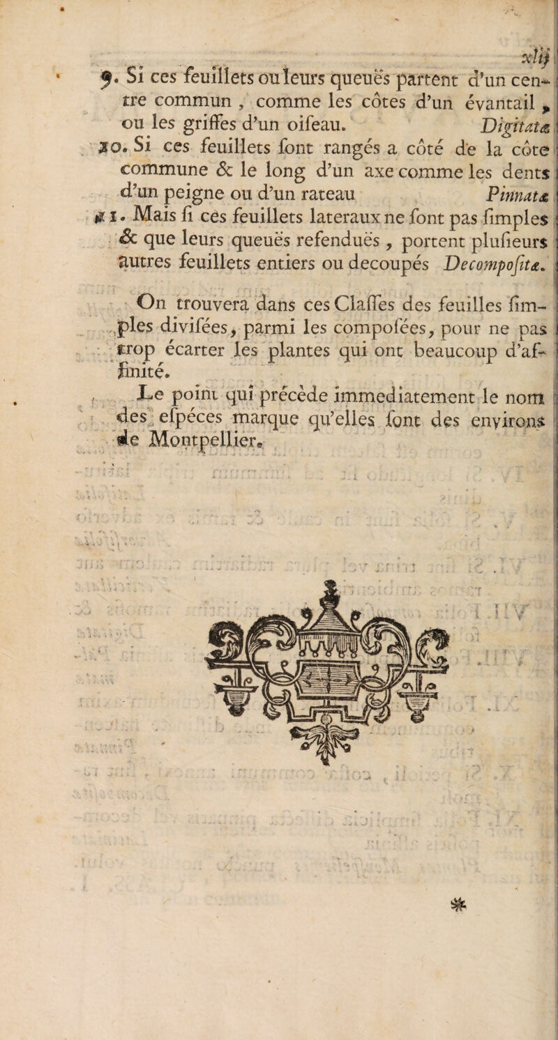 xtij 1 f • Si ces feuillets ou leurs queues partent d’un cen~ : tre commun , comme les côtes d’un évantail , S ou les griffes d’un oifeau. Digitata ! 30. Si ces feuillets font rangés a côté de la côte : commune 6c le long d’un axe comme les dents | d?un peigne ou d’un rateau Pinnata \ i* Mais fi ces feuillets latéraux ne font pas fimples : Sc que leurs queues refendues , portent plufieurs j autres feuillets entiers ou découpés Decompofitœ. j On trouvera dans ces Claffes des feuilles dm- i pies divifées, parmi les compofées, pour ne pas j crop écarter les plantes qui ont beaucoup d’af- i finité. i X-e point qui précède immédiatement le nom j des elpéces marque qu’elles font des enyirons j de Montpellier* * &