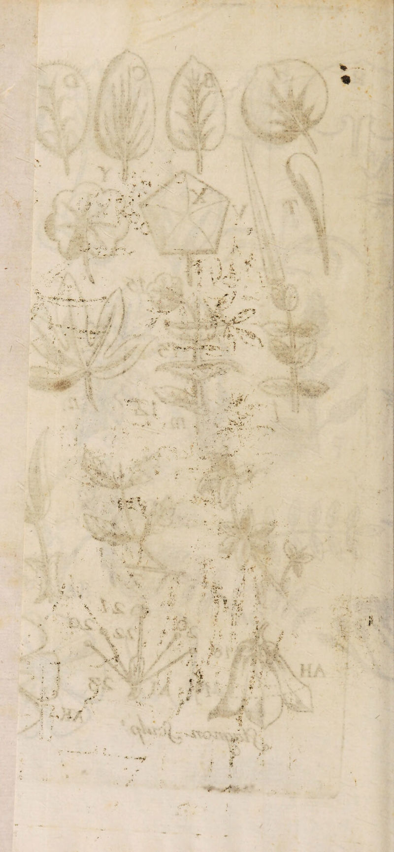 V* * X » -. -V % ♦ ♦ :• ,, ,. . .'. • ’ / . v v.* . .■ - -Zi ■*. «•*** • '.‘vr- •. ; ti 7 J : •< .1' -*-* ■ jt- j : * 4. : ,-i t f •- ^ ? •••*.,• , , 4 ■■&? ■ - **r% i/ -v -, -xjit* ■ '< , * •;••:*’? If.*. .; ■ j Ÿ'- • • 'j-fpfiKItS. ; ) * • ’v •// , , / ' j • 'T :r*7 V.* i ' if-- ■ •\ çv . 1 ; h-'r t- # ' I 4: ,, • - ■ * .'S ,-v. ^ v. , ' i . HT- ! •••'■• - ,A ; y'’-■ * : ' • : - . es * ' ■ t - ■ i“4 ■  “V i? ' '■ v- rf: o*' -'i U . « V .V-.. ■J/ - • A *< * .;n '** * fr V; i c f ,Tr- • > « , (f ■ » :>'■ 4 -, • •; - • « m ■ * . - - ' t ■ • r. s • j. -• -i. ., <- ’X:. . • k ■ • 7 - /5 . ; 4 •- •- : •: > Ç ■ ■ ■ % ' ' v •- .• . ; • ■- Â - •: ? . a , A ■* / V ' -1 1 . * ; î * : I ^7 v « ï 7 /9 > vf