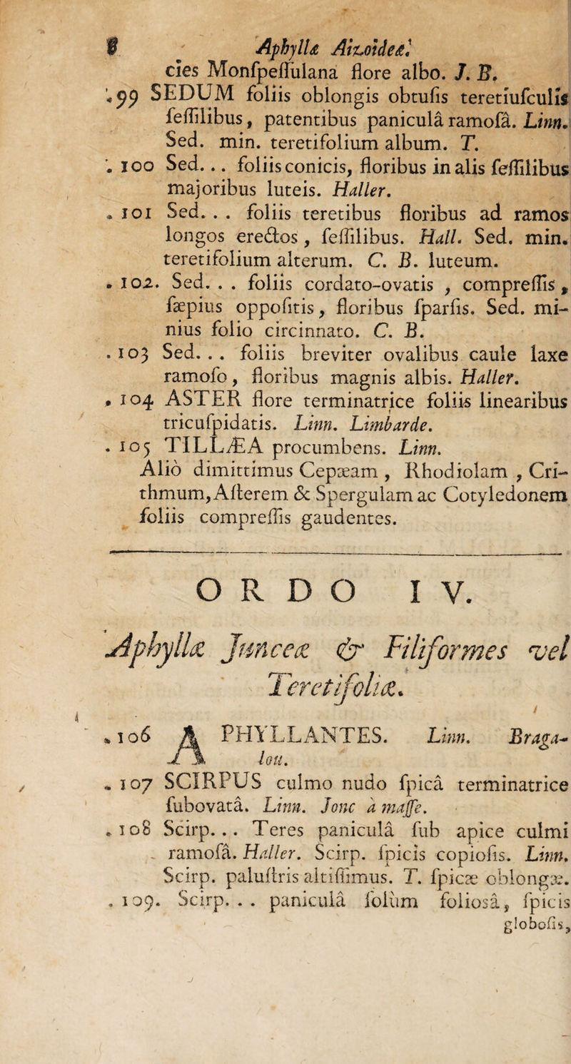 9. ' AphjlU Ai%,oldeœl cies Monfpeflulana flore albo. J. B, 4pp SEDUM foliis oblongis obtufis teretiufculîs feflîlibus, patentibus paniculâ ramofâ. Linn. Sed. min. teretifolium album. T. • ioo Sed... foliis conicis, floribus in alis feflîlibus majoribus luteis. Haller. • ioi Sed.. . foliis teretibus floribus ad ramos longos ere&os, feflîlibus. Hall. Sed. min, teretifolium alterum. C. B. luteum. . 102. Sed. . . foliis cordato-ovatis , compreflls , fæpius oppofitis, floribus fparfis. Sed. mi¬ nius folio circinnato. C. B. .103 Sed... foliis breviter ovalibus caule laxe ramofo, floribus magnis albis. Haller. ,104 ASTER flore terminatrice foliis linearibus tricufpidatis. Linn. Limbarde. . 103 TILLÆA procumbens. Linn. Alio dimittimus Cepæam , Rhodiolam , Cri- thmum, Alterem & Spergulamac Cotyledonem foliis compreflls gaudentes. ORDO I V. dphy lia Jane eat Filiformes njel Teret folia. t *106 Jk PfflLLANTES. Linn. Braga- jT\ lou. * 107 SCIRPUS culmo nudo fpicâ terminatrice fubovatâ. Linn. Jonc a majfe. ,108 Scirp... Teres paniculâ fub apice culmi ~ ramofâ. Haller. Scirp. fpicis copiofis. Linn. Scirp. paiultris aitiflimus. T. fpicæ oblongæ. .109. Scirp... paniculâ folùm foliosa, fpicis globods. J