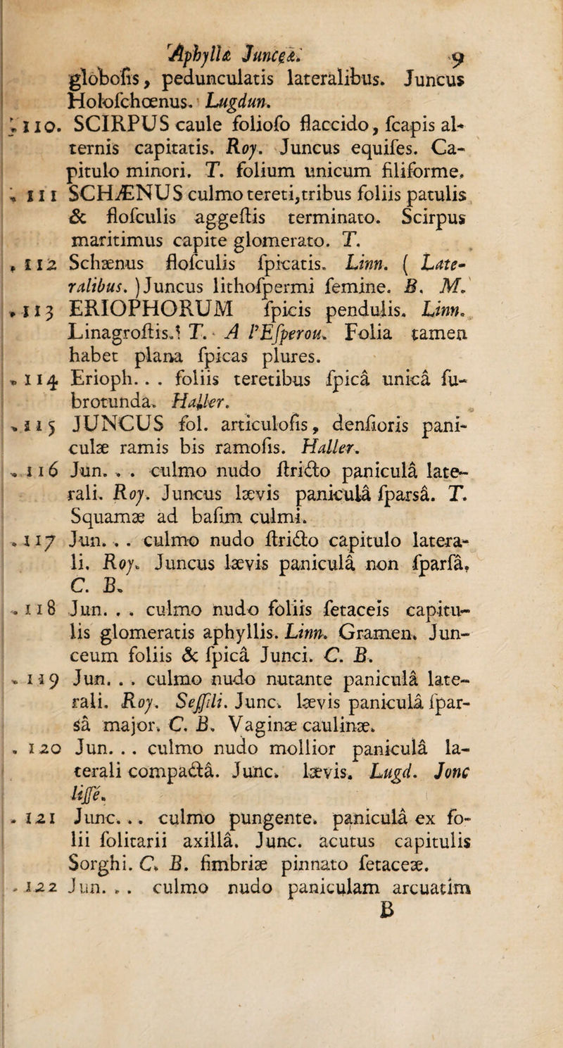 AphylU Juncçâ. t* globofis, pedunculatis lateralibus. Juncus Holofchœnus. Lugdun. » I io. SCIRPUS caule foliofo flaccido, fcapis al- ternis capitatis. Roy. Juncus equifes. Ca¬ pitulo minori. T. folium unicum filiforme, »iii SCHÆNUS culmo tereti,tribus foliis patulis & flofculis aggeftis terminato. Scirpus maritimus capite glomerato. T. ,112 Schænus flofculis fpicatis. Linn. ( Late¬ ralibus. ) Juncus lithofpermi femine. B. M. »113 ERIOPHORUM fpicis pendulis. Linn. Linagrofiisd T. A PEfperou. Folia tamen habet plana fpicas plures. » 114 Erioph. . . foliis teretibus fpicâ unicâ fu- brotunda. Haller. »115 JUNCUS fol. articulo fis, denfioris pani¬ culae ramis bis ramofis. Haller. » 116 Jun. , . culmo nudo ilrido paniculâ late¬ rali. Roy. Juncus lævis paniculâ fparsâ. T. Squamæ ad bafim culmi. .117 Jun... culmo nudo Arido capitulo latera¬ li. Roy* Juncus lævis paniculâ non fparfâ, C. B. ,118 Jun. . » culmo nudo foliis fetaceis capitu¬ lis glomeratis aphyllis. Linn. Gramen. Jun¬ ceum foliis & fpicâ Junci. C. B. »119 Jun. . . culmo nudo nutante paniculâ late¬ rali. Roy. Sejjili. Junc. lævis paniculâ fpar¬ sâ major. C. B. Vaginæ caulinæ, . 120 Jun... culmo nudo mollior paniculâ la¬ terali compadâ. Junc. lævis. Lugd. Jonc JiJJe. .iz\ Junc... culmo pungente, paniculâ ex fo¬ lii folitarii axiilâ. Junc. acutus capitulis Sorghi. C B. fimbriæ pinnato fetaceæ. , 122 Jun. , . culmo nudo paniculam arcuadm B