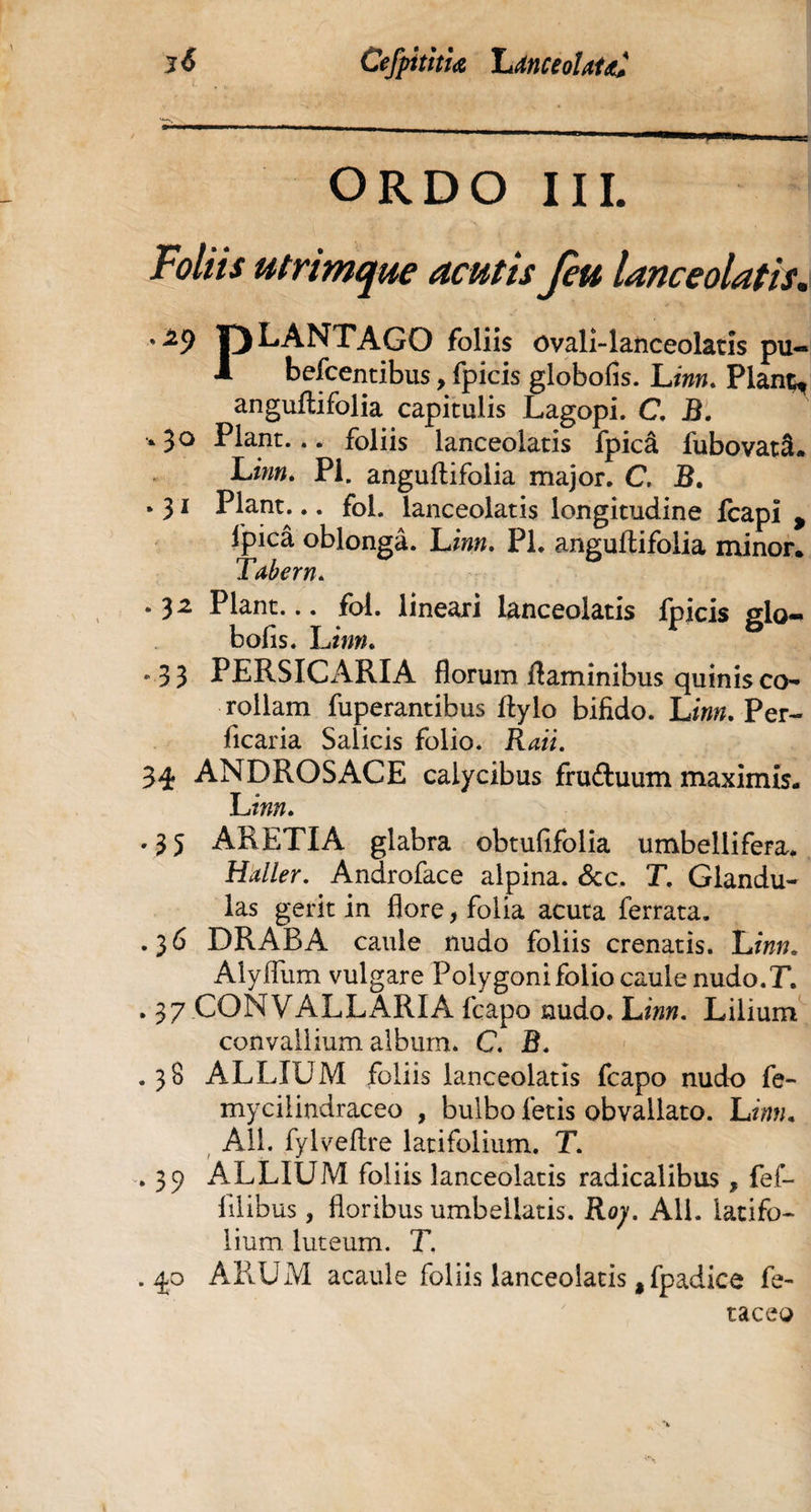 3 <5 Cefpititiœ LdnceolaltC ORDO III. Foliis utrimque acutis Jeu lanceolatis. pLANTAGO foliis ovali-lanceolatis pu-* 1 befcentibus, fpicis globofis. Linn. Plan^ anguftifolia capitulis Lagopi. C, B. ‘ 3° Piant... foliis lanceolatis fpicâ fubovatâ. Linn. Pl. anguftifolia major. C B. * 31 Piant... fol. lanceolatis longitudine fcapi , lpicâ oblonga. Linn. PL anguftifolia minor. Tabem. .32 Piant... fol. lineari lanceolatis fpicis glo¬ bofis. Litfw. • 33 PERSICARIA florum flaminibus quinis co¬ rollam fuperantibus ftylo bifido. Linn. Per- ficaria Salicis folio. Raii. 34 ANDROSACE calycibus fruftuum maximis. Linn. .35 ARETIA glabra obtufifolia umbellifera. Haller. Androface alpina. &c. T. Glandu¬ las gerit in flore, folia acuta ferrata. .36 DRARA caule nudo foliis crenatis. Linn. Alyflum vulgare Polygonifolio caule nudo.T. . 37 CONVALLARI A fcapo nudo. Linn. Lilium convallium album. C. B. .38 ALLIUM foliis lanceolatis fcapo nudo fe- myciiindraceo , bulbo fetis obvallato. Linn. Ali. fylveftre latifolium. T. .39 ALLIUM foliis lanceolatis radicalibus, fef- lilibus, floribus umbellatis. Roy. Ali. latifo¬ lium luteum. T. .40 ARUM acaule foliis lanceolatis ,fpadice fe- taceo
