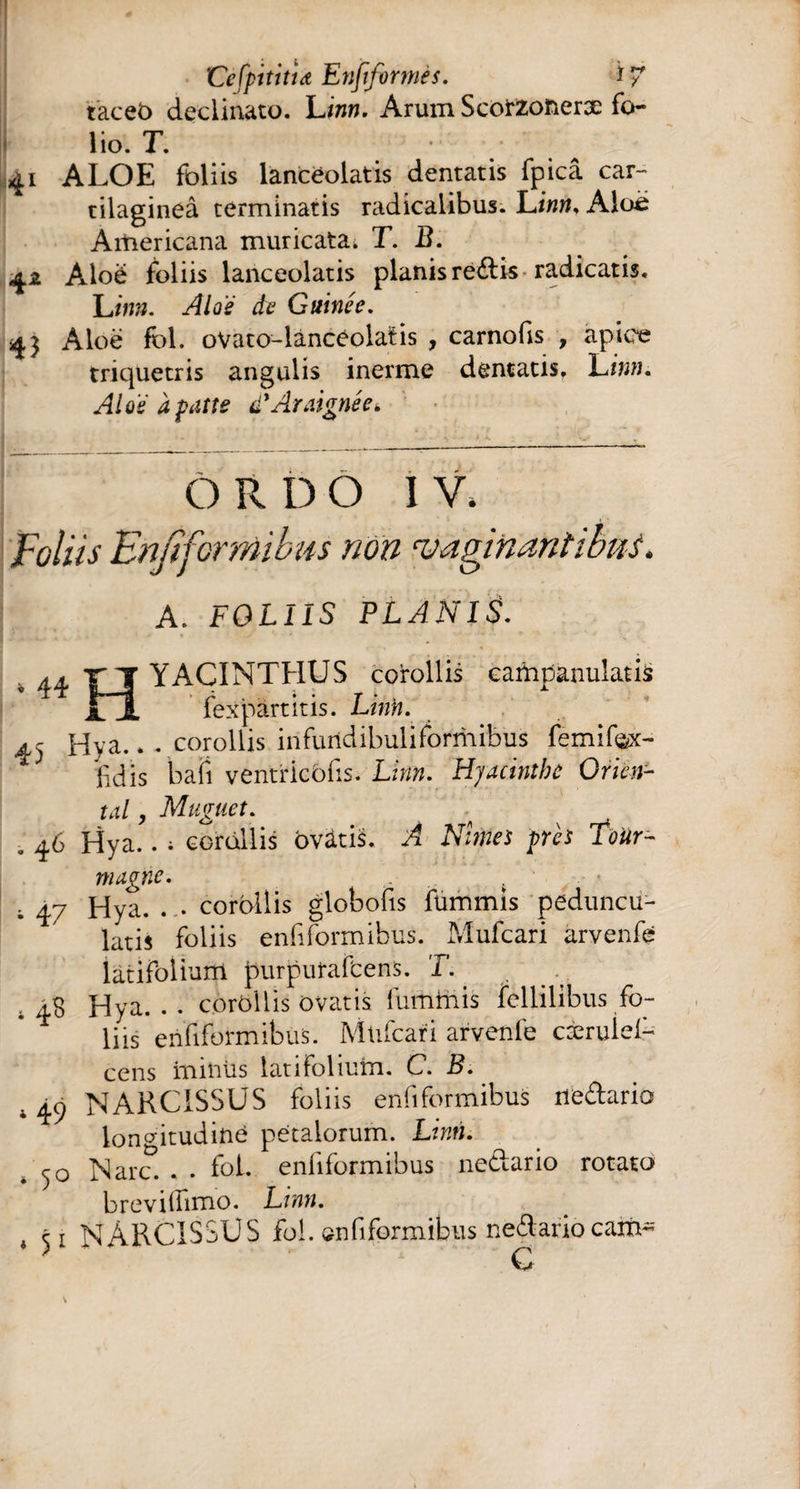 taceb declinato. Linn. Arum Scorzoneræ fo- * lio. T. 41 ALOE foliis lancéolatis dentatis fpicâ car¬ tilaginea terminatis radicalibus. Linn. Aloë Americana muricata. T. B. 42 Aloë foliis lancéolatis planis réélis radicatis. L inn. Aloë de Guinée. 43 Aloë fol. ovato-lanceolaïis , carnofis , apiee triquetris angulis inerme dentatis. L inn. Aloë à patte à* Araignée k Ô R DO IV. Foliis Enfiformibus non aginantibus. A. FOUIS PLANIS. . 44 ttt YACINTHUS corollis campanulatis il fexpàrtitis. Linfi. 45 Hya.. . corollis infuridibuliformibus femifex- lidis b a fi ventricbfis. Linn. Hyacinthe Orien¬ tal , Muguet. . 46 Hya.. ; corollis ovâtis. A Nîmes près Tour- magne. . • . 47 Hya. . . corollis globofis fummis peduncu- latis foliis enfiformibus. Mufcari arvenfe latifolium purputafoens. T. ■. 4S Hya. . . corollis ovatis luminis fellilibus fo¬ liis enfiformibus. Mufcari arvenfe cæruief- cens ininüs latifolium. C. B. i49 NARCISSUS foliis enfiformibus neélario longitudine petalorum. Linn. j o N arc. . . fol. enfiformibus neélario rotato breviliimo. Linn. * 51 NÂRCISSUS fol. onfiformibus neélario cam~