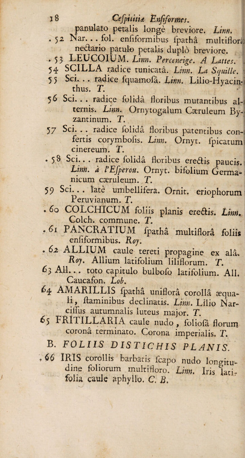 3 S Cefpiütid Enfiformes. panulato petalis longe breviore. Linn. . Nar. . . fol. enflformibus Ipathâ multiflori: nedario patulo petalis duplo breviore. ] * 53 LEUCOIUM. Linn. Perceneige. A Lattes. , 54 SCILLA radice tunicata. Linn. La S quille. 55 Sci. .. radice fquamofa. Linn. Lilio-Hyacin*; thus. T. 56 Sci. . . radice folidâ floribus mutantibus al-t ternis. Linn. Ornytogalum Cæruleum By¬ zantinum. T. 57 Sci. . . radice folidâ floribus patentibus con¬ fertis corymbofis. Linn. Ornyt. lpicatumj cinereum. T. * 58 Sci.. . radice iolidâ floribus eredis paucis. Linn. a 1 Efperou. Ornyt. bifolium Germa¬ nicum cæruleum. T. 59 Sci.. . latè umbellifera. Omit, eriophorum Peruvianum. T. * 60 COLCHICUM foliis planis eredis. Linn. Colch. commune. T. . 61 PANCR ATIUM fpathâ multiflora foliis enflformibus. Roy. » 62 ALLIUM caule tereti propagine ex ala* Roy. Allium latifolium liliflorum. T. 63 All... toto capitulo bulbofo latifolium. Ali. Caucafon. Lob. ^4 AMARILLIS fpatha uniflorâ corollâ aequa¬ li , flaminibus declinatis. Linn. Lilio Nar- cilfus autumnalis luteus major. T. ^5 FRITILLARIA caule nudo , foliofâ florum corona terminato. Corona imperialis. T. B. FOLIIS DISTICHIS PLANIS. * 66 IRIS corollis barbatis fcapo nudo longitu¬ dine foliorum multifloro. Linn. Iris lati- folia caule aphyllo. C, B.
