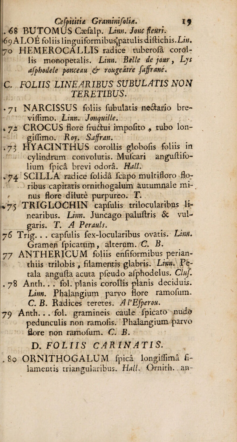 . 68 BUTOMUS Cæfalp. Linn. Jonc part. <6c}ALOÉ foliis linguiformibus'patulis diftichis.Lh/. o HEMEROCALLIS radice tuberofâ corol¬ lis monopètalis. Linn. Belle de jour, Ljs afpbodele ponceau , & rougeâtre faffrané. C. FOUIS LINEARIBUS SUBULATIS NON TERETIBUS. • 71 NARCISSUS foliis fubulatis neâario bre- viflimo. Linn. Jonquille. i 72 CROCUS flore fru£tui impofito * tubo lon- giflimo. Roy. Safran. .73 HYACINTHUS corollis globofis foliis in cylindrum convolutis. Mulcari anguflifo- lium fpicâ brevi odorâ. Hall. % 74 SCILLA radice folidâ fcapo multifloro flo¬ ribus capitatis ornithogalum autumnale mi- ^ * nus flore dîlutè purpureo. T. «%75 TRIGLOCHIN capfulis trilocularibus li¬ nearibus. Linn. Juncago palultris dc vul¬ garis. T. A Perauls. 76 Trig. . . capfulis fex-locularibus ovatis. Linn. Gramen fpicatum, alterum. C. B. 77 ANTHERICUM foliis enfiformibus perian- tliiis trilobis, filamentis glabris. Linn. Pe¬ tala angufta acuta pfeudo afphodelus. Cluf. , 78 Anth. . . fol. planis corollis planis deciduis. Linn. Phalangium parvo flore ramofum. C. B. Radices teretes. AiEfperou. 79 Anth.. . fol. gramineis caule Ipicato nudo pedunculis non ramofis. Phalangium parvo £ore non ramofum. C. B. D. FOLIIS CARINATIS. . 80 ORNITHOGALUM fpicâ longiflimâ fi¬ lamentis triangularibus. Hali Ornith. an-