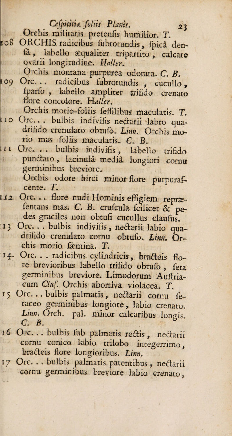 CefpititU foliis Planis. Orchis militaris pretenfis humilior. T. to8 ORCHIS radicibus fubrotundis, fpicâ den- fâ , labello aequaliter tripartito , calcare ovarii longitudine. Haller„ Orchis montana purpurea odorata. C. B. \ 09 Orc. . . radicibus fubrotundis , cucullo, fparfo , labello ampliter trifido crenato flore concolore. Waller. Orchis morio-foliis feffilihus maculatis. T. 11 o Orc.. . bulbis indivifis nefarii labro qua¬ drifido crenirlato obtufo. Linn. Orchis mo¬ rio mas foliis maculatis. C. B. : 11 Orc. . . bulbis indivifis, labello trifido pundato, lacinulâ mediâ longiori cornu germinibus breviore. Orchis odore hirci minor flore purpuraf. cente. T* c 12 Orc. .. flore nudi Hominis effigiem repræ- fentans mas. C. B. crufcula fcilicet & pe¬ des graciles non obtufi cucullus claufus. 13 Orc. . . bulbis indivifis, nedarii labio qua¬ drifido crenulato cornu obtufo. Linn. Or¬ chis morio flemina. T. 14. Orc. . . radicibus cylindricis, bradeis flo¬ re brevioribus labello trifido obtufo , feta germinibus breviore. Limodorum Auflria- cum Cluf. Orchis abortiva violacea. T. 1 5 Orc. .. bulbis palmatis , nedarii cornu fe- taceo germinibus longiore, labio crenato. Linn. Orch. pal. minor calcaribus longis C. B. 6 x 6 Orc. . . bulbis fub palmatis redis, nedarii cornu conico labio trilobo integerrimo, bradeis flore longioribus. Linn. 17 Orc. . . bulbis palmatis patentibus, nedarii cornu germinibus breviore labio crenato.