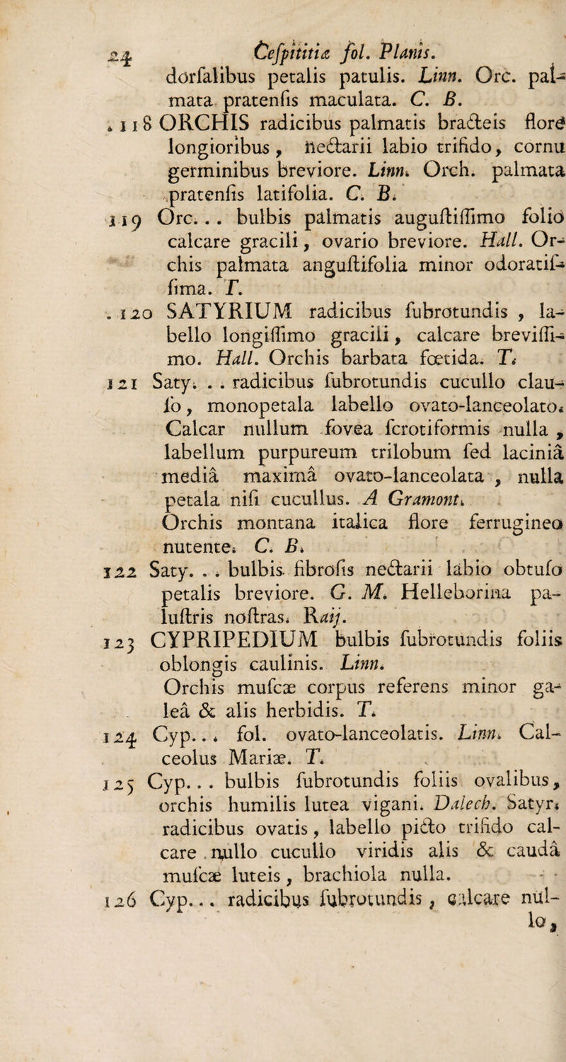 -4 Cefpi titia fol. Plants. dorfaiibus petalis patulis. Linn. Orc. pal¬ mata pratenfis maculata. C. B. à 11 8 ORCHIS radicibus palmatis bra&eis floré longioribus , iledarii labio trifido, cornu germinibus breviore. Linn, Orch. palmata pratenfis latifolia. C. B. 119 Orc.. . bulbis palmatis augufliflimo folio calcare gracili, ovario breviore. Hali. Or¬ chis palmata anguftifolia minor odoratiH fima. T. » i 20 SATYRIUM radicibus fubrotundis , la¬ bello longiffimo gracili, calcare brevifll- mo. Hali. Orchis barbata foetida. Tt izi Satyi . . radicibus fubrotundis cucullo clau- fo, monopetala labello ovato-lanceolato* Calcar nullum fovea fcrotiformis nulla , labellum purpureum trilobum fed lacinia media maximâ ovato-lanceolata , nulla petala nifi cucullus. A Gramont, Orchis montana italica flore ferrugineo nutentCi C. B. i zi Saty. . * bulbis fibrofis nedarii labio obtufo petalis breviore. G. M. Helleborina pa~ luflris noflras* Raij. 12} CYPRIPEDIUM bulbis fubrotundis foliis oblongis caulinis. Linn. Orchis mufcæ corpus referens minor gcV lea & alis herbidis. T, 124 Cyp.. * fol. ovato-lanceolatis. Linn, Cal¬ ceolus Mariæ. T* j2) Cyp... bulbis fubrotundis foliis ovalibus, orchis humilis lutea viganh Daiecb. Satyn radicibus ovatis, labello pido trifido cal¬ care . nullo cucullo viridis alis <5c cauda mufcæ luteis, brachiola nulla. * 126 Cyp... radicibus fubrotundis, calcare nul¬ lo.