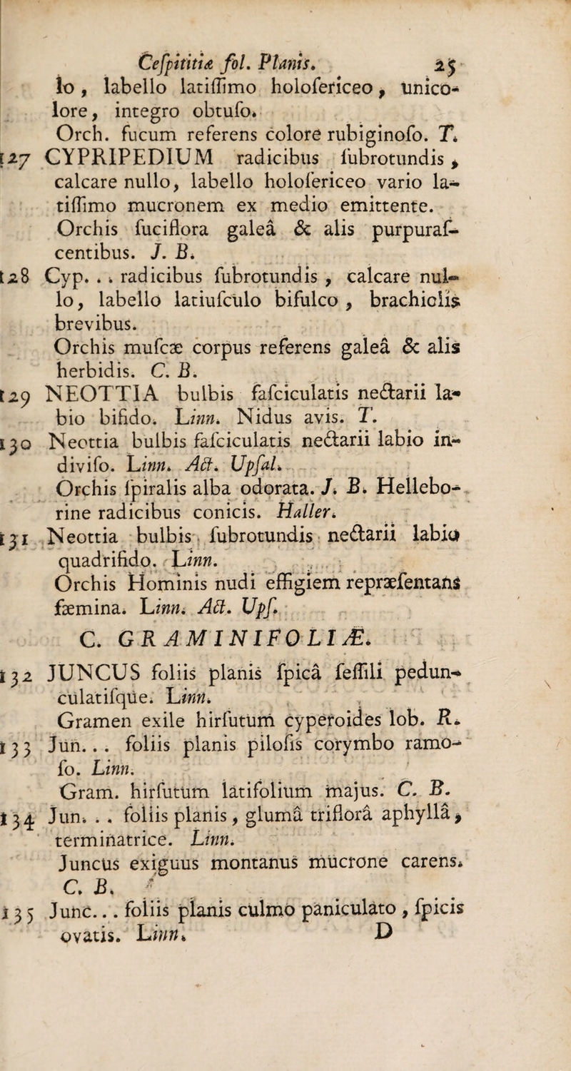 Cefpititiœ fol. Plants. ±< lo, labello latiffimo holofericeo, unico¬ lore, integro obtufo. Orch. fucum referens colore rubiginofo. T* CYPRIPED1UM radicibus fubrotundis* calcare nullo, labello holofericeo vario la¬ tiffimo mucronem ex medio emittente. Orchis fuciflora galeâ & alis purpuras¬ centibus. J. B. [28 Cyp. * fc radicibus fubrotundis , calcare nul¬ lo, labello latiufculo bifulco , brachiolis brevibus. Orchis mufcæ corpus referens galeâ & alis herbidis. C. B. 129 NEOTT1A bulbis fafciculatis neftarii la* bio bindo* Linn. Nidus avis. T. 130 Neottia bulbis fafciculatis ne&arii labio in- divifo. Linn* Aft, Upfal. Orchis fpiralis alba odorata. J* B* Hellebo- rine radicibus conicis. Haller* [31 Neottia bulbis fubrotundis ne&arii labia quadrifido. L inn. Orchis Hominis nudi effigiem repræfentahs femina. L inn. Att. Upf. C. GRAMINlFOLIÆé 132 JUNCUS foliis planis fpicâ feffili pedun-* culatifqüe. L 'irin. Gramen exile hirfutüm cyperoides lob. R* 1 3 3 Jun.. . foliis planis pilofis corymbo ramo- fo. Linn. Gram. hirfutum latifolium majus. C. B. 134 Jum . . foliis planis, glumâ triflorâ aphyllâ* terminatrice. Linn i Juncus exiguus montanus mucrone carens* c. b. ; j 3 5 Junc... foliis planis culmo paniculàto , Epicis ovatis. Linn, D
