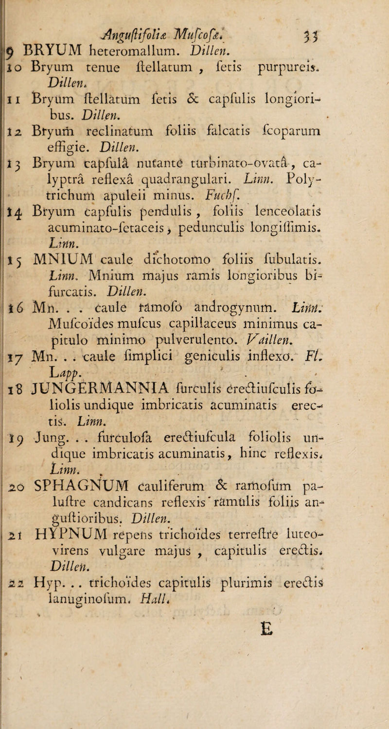 Anguflifoliœ Mufcofa* 53 £ BRYUM heteromallum. Dillen. 10 Bryum tenue flellatum , fetis purpureis. Dillen. 11 Bryum flellatum fetis & capfulis longiori¬ bus. Dillen. 12 Bryum reclinatum foliis falcatis fcoparum effigie. Dillen. 13 Bryum capfulâ nutante turbinato-ovatâ, ca- lyptrâ reflexâ quadrangulari. Limi. Poly- trichum apuleii minus. Fuchf. 14 Bryum capfulis pendulis , foliis lenceolatis acuminato-fetaceis > pedunculis longiflimis. Linn. 15 MN1UM caule dichotomo foliis fubulatis. Linn. Mnium majus ramis longioribus bi¬ furcatis. Dillen. 16 Mn. . . caule ramofo androgynum. Linn: Mufcoides mufcus capillaceus minimus ca¬ pitulo minimo pulverulento. Vdillen. 17 Mn. . . caule limplici geniculis inflexo. FL Lapp. . 1$ JUNGERMANNIA furculis érediufculis fcM liolis undique imbricatis acuminatis erec¬ tis-. Linn. 19 Jung. . . furculofa erediufcula foliolis un¬ dique imbricatis acuminatis, hinc reflexis.* Linn. 20 SPHAGNUM cauliferum Sc rarnofum pa- luftre candicans reflexis'ramulis foliis an¬ guli ioribus. Dillen. 21 HYPNUM repens trichoides terrellre luteo- virens vulgare majus , capitulis eredis* Dillen. 21 Hyp. .. trichoides capitulis plurimis eredis lanuginofum. Hali* E | # 4 /