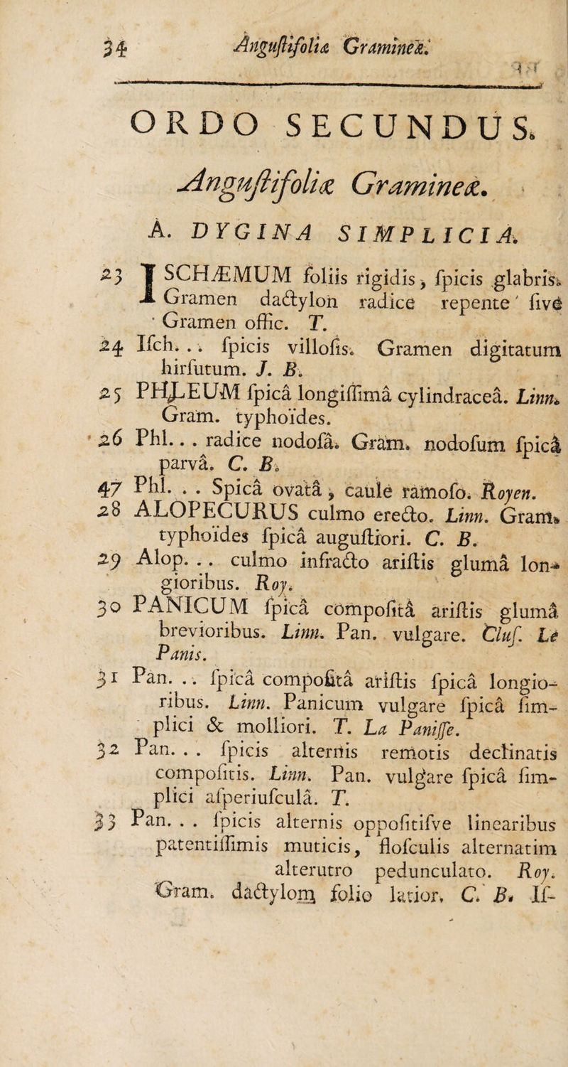 i-i ORDO SECUNDUS. ■Angujiifolioi Graminea. A. DYGINA SIMPLICIA. 2? T ScHÆMUM foliis rigidis ^ fpicis glabris -1 Gramen dadylon radice repente ' dvê ■ Gramen offic. T. 2-é Ifch. . * fpicis villods. Gramen digitatum hirfutum. /. B. 25 PHJÆUM fpicâ longiflîmâ cylindraceâ. Linn* Gram, typhoïdes. 26 Phi.. . radice nodofâ» Gram* nodofum fpicâ parvâ. C. B. 47 Phi. . . Spicâ ovatâ, caule ratnofo. Roy en. .28 ALOPECURUS culmo eredo. Linn. Gram* typhoïdes fpicâ augudrori. C. B. z<) Alop. .. culmo infrado aridis giumâ lon-> gioribus. Roy. 30 PANICUM fpicâ compodtâ aridis giumâ brevioribus. Linn. Pan. vulgare. Cluf. Le Panis. 31 Pan. .. fpicâ compofitâ aridis fpicâ longio¬ ribus. Linn. Panicum vulgare fpicâ dm- plici de molliori. T. La PaniJJe. 32 Pan. . . fpicis alternis remotis declinatis compodtis. Linn. Pan. vulgare fpicâ dm- plici afperiufculâ. T. 33 Pan. . . Ipicis alternis oppodtifve linearibus patentilTimis muticis, flofculis alternatim alterutro pedunculato. Roy. Gram, dadylorri folio latior» C. R* If-