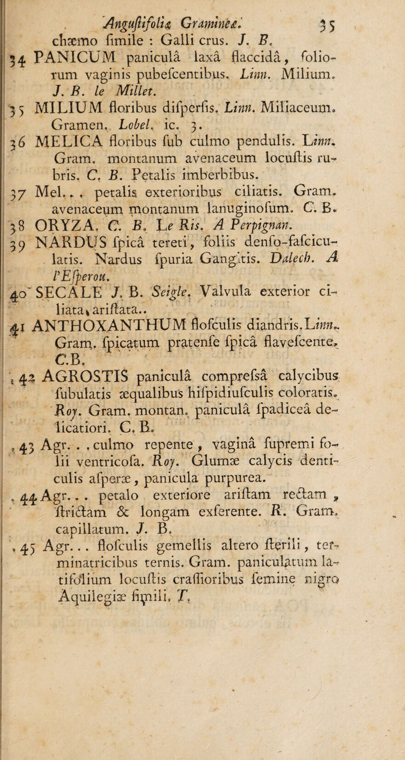 chæmo flmile : Galli crus. J. B, 34 PANICUM panicula laxâ flaccidâ, dolio¬ rum vaginis pubefcentibus. Linn. Milium, J. B. le Millet. 5 MILIUM floribus difperfis. Linn. Miliaceutm Gramen, LobeL ic. 3. 36 MELICA floribus fub culmo pendulis. Limu Gram, montanum avenaceum locuflis ru¬ bris. C. B. Petalis imberbibus. 37 Mei.., petalis exterioribus ciliatis. Gram. avenaceum montanum lanuginofum. C. B* 38 ORYZA, C. B, Le Ris. A Perpignan. 39 NARDUS fpicâ tereti, foliis denfo-fafcicu- latis. Nardus fpuria Gangitis. Dalech. A rEfperou. 40’ SECALE J. B. Seigle. Valvula exterior ci¬ liata lariftata.. 41 ANTHOXANTHUM flofculis diandris.Liwu Gram, fpicatum pratenfe fpicâ flavefcente, C. B, \ ^ ; \ 42 AGROSTIS paniculâ comprefsâ calycibus fubulatis æqualibus hifpidiufculis coloratis. Roj. Gram. montan, panicula fpadiceâ de¬ licatiori. C, B, » 43 Agr. . , culmo repente , vagina fupremi fo¬ lii ventricofa. Roj. Glumæ calycis denti¬ culis afperæ, panicula purpurea. . 44 Agr.. . petalo exteriore arillam redam 9 Aridam Sc longam exferente. R. Gram. capillatum. J. B, ,45 Agr... flofculis gemellis altero Herili, ter- minatricibus ternis. Gram. paniculatum la¬ tifolium locuftis craflîoribus femine nigro Àquilegiæ fiçiiii, T\