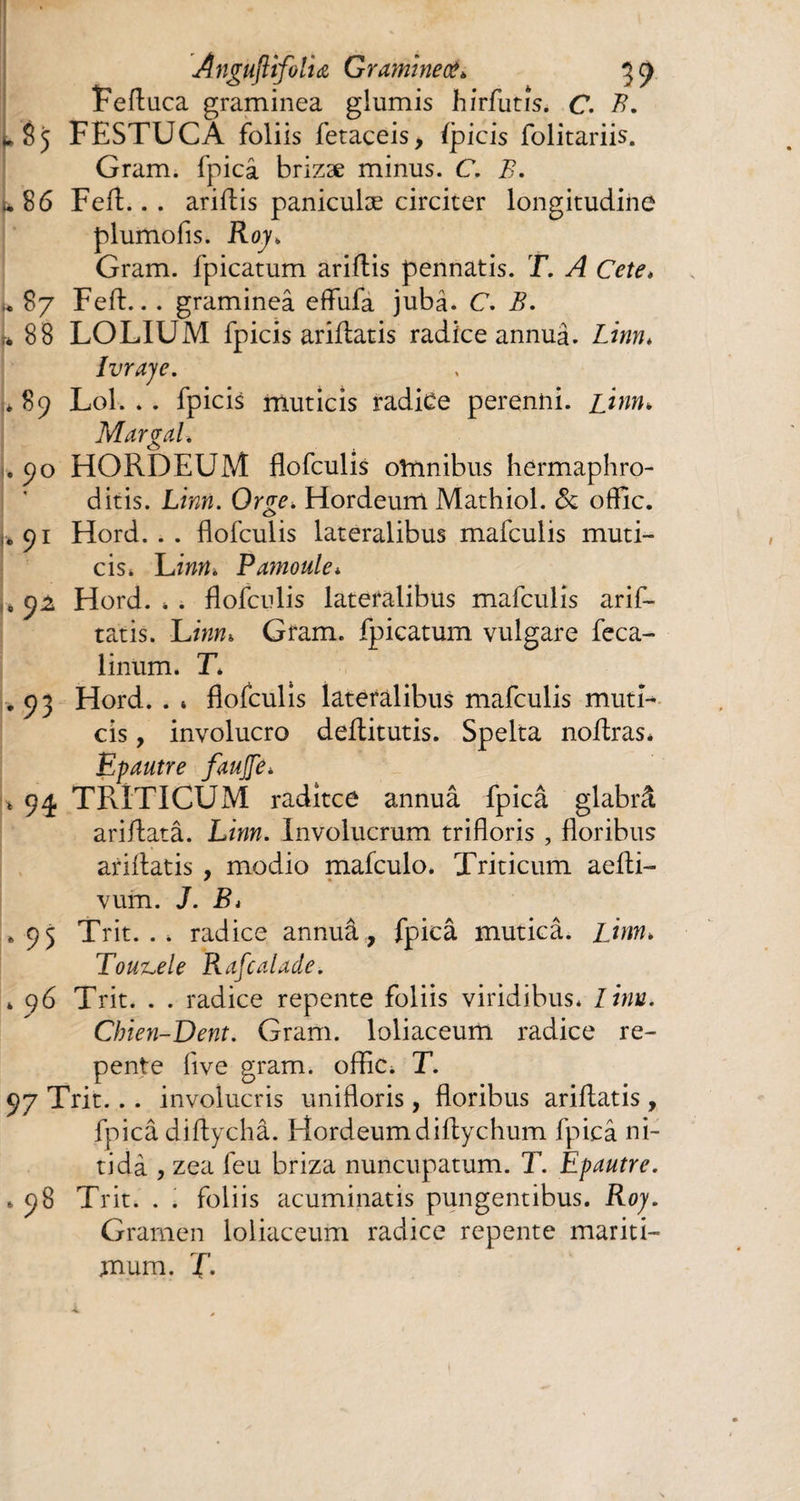 Angùftifoliœ Graminea* 3 t) Feftuca graminea giumis hirfutîs. C. B. ^ S 5 FESTUCA foliis fetaceis, /picis folitariis. Gram, fpicâ brizæ minus. C. B. «86 Feft.. . ariftis paniculæ circiter longitudine plumofis. Roy„ Gram, fpicatum ariftis pennatis. T. A Cete* i* 87 Feft... gramineâ eftufa jubâ* C. i?. u 88 LOLIUM fpicis ariftatis radice annuâ. Linn* Ivraie. *89 Loi. . . fpicis muticis radice perenni, jri»»» Mariai. O .90 HORDEUM flofculis oftmibus hermaphro¬ ditis. Limz. 0r££. Hordeum Mathiol. 6c oftlc. 91 Hord. . . flofculis lateralibus mafculis muti¬ cis. Linn* Pamoule* i8 91 Hord. » . flofculis lateralibus mafculis arif¬ tatis. Linn* Gram, fpicatum vulgare feca- linum. T* .93 Hord. . * flofculis lateralibus mafculis muti¬ cis , involucro deftitutis. Spelta noftras* Epautre faujje* * 94 TRÎTICUM raditce annuâ fpicâ glabrâ ariftatâ. Linn. Involucrum trifloris , floribus ariftatis , modio mafculo. Triticum aefti- vum. J. B* .95 Trit. . * radice annuâ, fpicâ muticâ. Linn* Tou^ele Rafcalade. * 96 Trit. . . radice repente foliis viridibus* linn. Chien-Dent. Gram, loliaceum radice re¬ pente flve gram. offlc» T. 97 Trit. . . involucris unifloris, floribus ariftatis , fpicâ diftpchâ. Hordeumdiftychum fpicâ ni¬ tida , zea feu briza nuncupatum. T. Epautre. * 98 Trit. . . foliis acuminatis pungentibus. Roy. Gramen loliaceum radice repente mariti¬ mum. T-