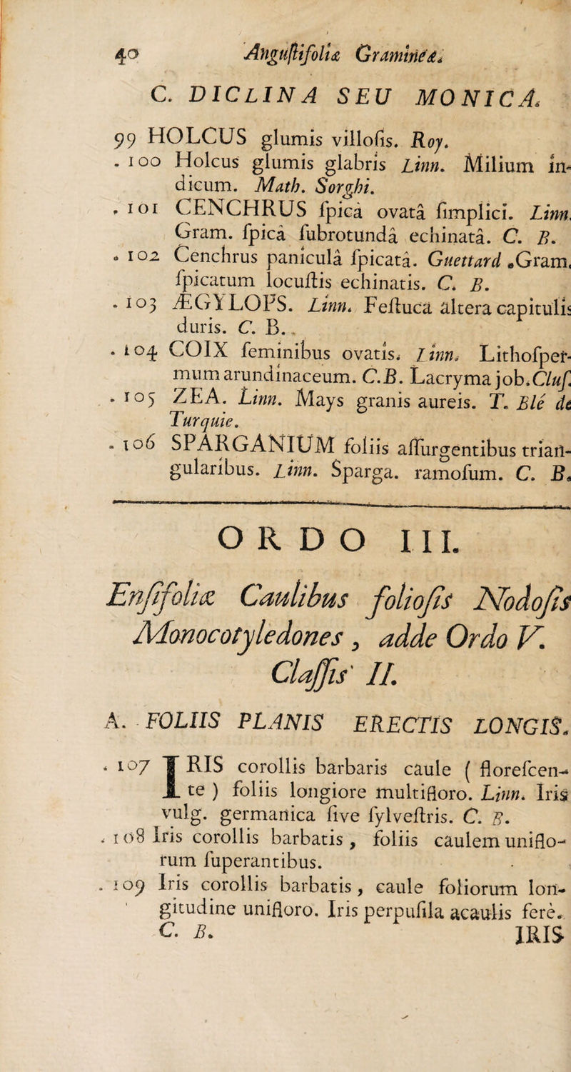 4° AnguftifolU Gr amitié à * C. DICLINA SEU MONICA, 99 HOLCUS glumis villofis. Roy. . i oo Holcus glumis glabris Zh;«. Milium in¬ dicum. Math. Sorgki. ' ioi CENCHRUS lpicà ovatâ fimplici. Linn Gram, fpicà fubrotundâ echinata. C. B. * 102 Cenchrus paniculâ fpicatâ. Guettard *Gram, fpicatum locuftis echinatis. C .103 ÆG1LOPS. Feflucâ altera capitula duris. C. B.. . io^ COIX feminibus ovatis, linn, Lithofpef- mumarundinaceum. C.B. Lacryma job.Cluf, .103 ZEA. Linn. Mays granis aureis. T. Blé dt Turquie. - 106 SPARGANIÜM foliis aflurgentibus trian¬ gularibus. linn. Sparga. ramofum. C. B* o R D o III. Enfifolhz Caulibus foliojïs Nodofis Monocotyle dones, adde Ordo V. ClaJJis' IL A. FOLIIS PLANIS ERECTIS LONGIS. * 107 T LIS corollis barbaris caule ( florefcen-* JL te ) foliis longiore multifloro. Linn. Iris vulg. germanica live fylveflris. C. B. ,108 Iris corollis barbatis, foliis caulemuniflo^ rum iuperantibus. . 109 Iris corollis barbatis, caule foliorum lon¬ gitudine unifloro. Iris perpufila acauiis fere.