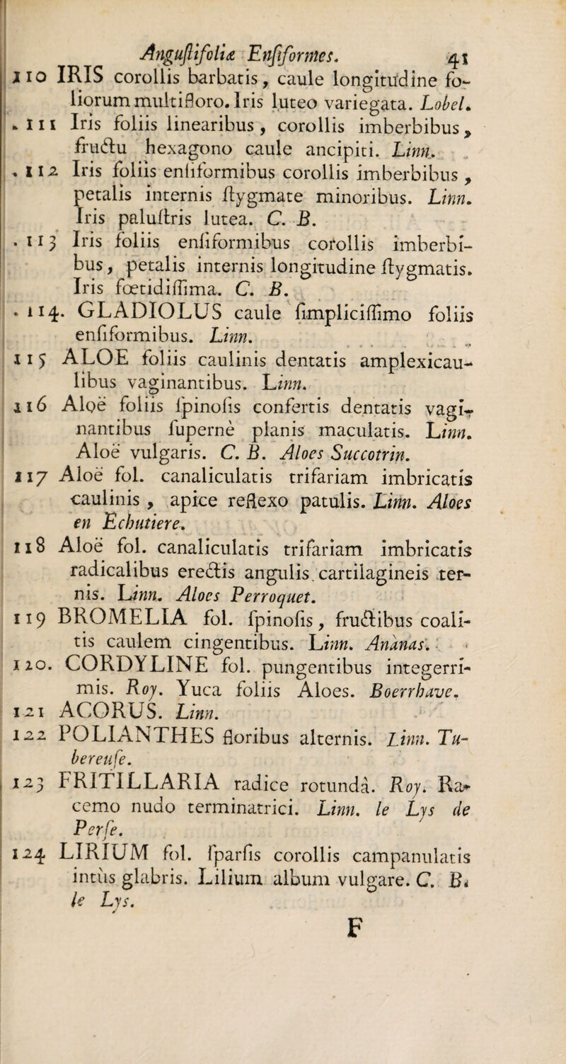 HO IRIS corollis barbatis, caule longitudine fo¬ liorum multifloro. Iris luteo variegata. LobeL . ïii Iris foliis linearibus, corollis imberbibus, fruftu hexagono caule ancipiti. Linn. .112 Iris foliis enliformibus corollis imberbibus , petalis internis Rygmate minoribus. Linn. Iris paluftris lutea. C. B. .113 Iris foliis enliformibus corollis imberbi¬ bus, petalis internis longitudine ilygmatis. Iris fœtidilTima. C. B. .114. GLADIOLUS caule fimpliciffimo foliis enfiformibus. Linn. 11 5 ALOE foliis caulinis dentatis amplexicau- libus vaginantibus. Linn. 116 Aloe foliis fpinolis confertis dentatis vagi- nantibus fupernè planis maculatis. Linn. Aloe vulgaris. C. B. Aloes Succotrin. 117 Aloë fol. canaliculatis trifariam imbricatis caulinis , apice reflexo patulis. Linn. Aloes en Echutiere.. 118 Aloe fol. canaliculatis trifariam imbricatis radicalibus eredlis angulis, cartilagineis ter¬ nis. Linn. Aloes Perroquet. 119 BROMELIA fol. fpinofis, fruftibus coali¬ tis caulem cingentibus. Linn. Ananas. no. CORDYLINE fol. pungentibus integerri¬ mis. Roj. Yuca loliis Aloes. Boerrbave. 121 ACORUS. Linn. 122 POLIÀNTHES floribus alternis. Linn. Tu¬ ber eu fe. 12} FRITILLARIA radice rotunda. Roj. Ra* cemo nudo terminatrici. Linn. le Lys de P er Ce. 124 LIRIUM fol. fparfis corollis campanulatis intiis glabris. Lilium album vulgare. C. B* le Lys. F