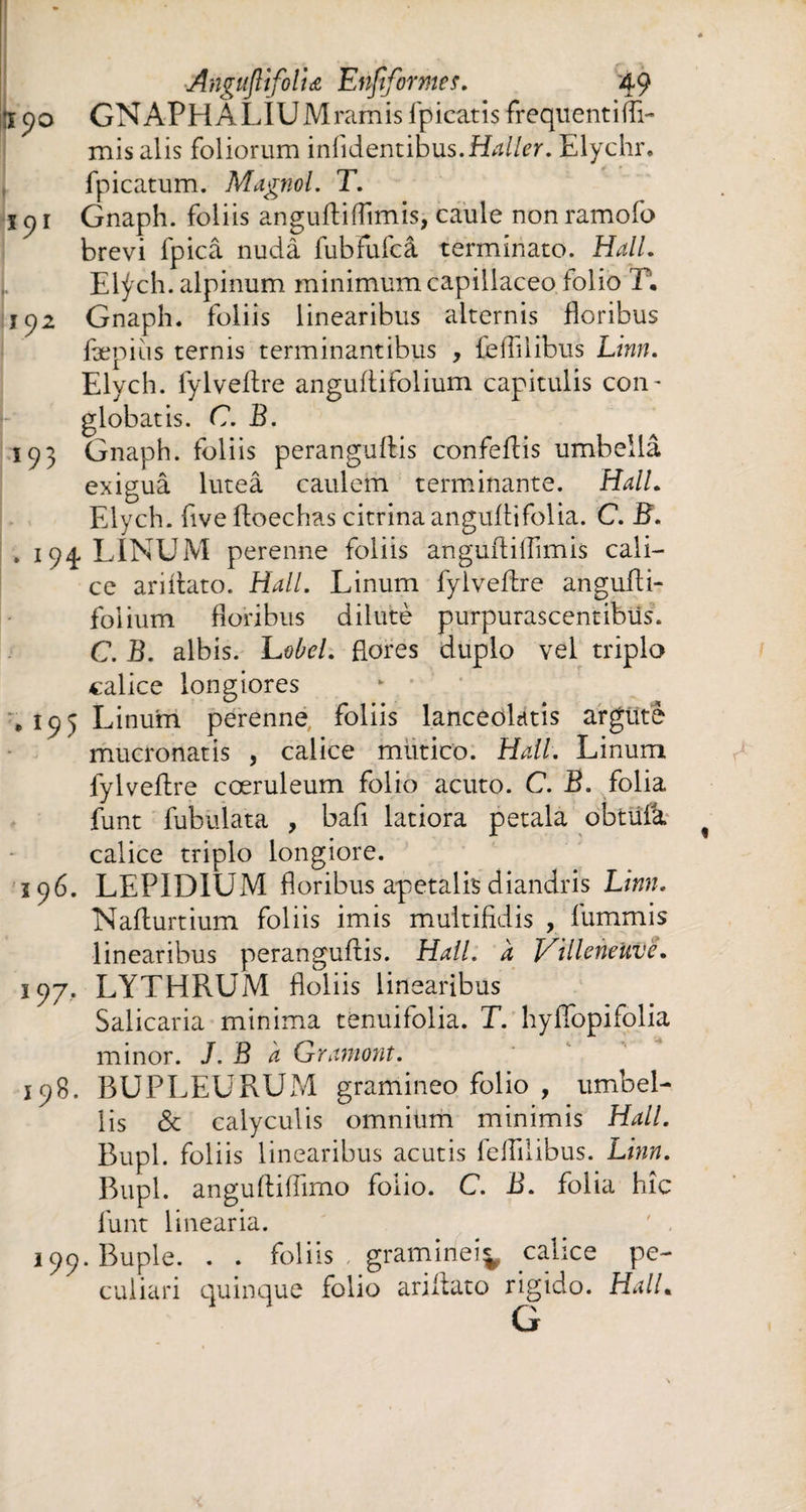 :x 90 GNAPHALIUMramis fpicatis frequent ifîi- misalis foliorum infidentibus.Haller. Elychr. fpicatum. Magnol. T. ï p i Gnaph. foliis anguftiflîmis, caule non ramofo brevi fpicâ nudâ fubfufcâ terminato. Hall. Elÿch. alpinum minimum capillaceo folio T. i c,2 Gnaph. foliis linearibus alternis floribus fæpius ternis terminantibus , leflilibus Linn. Elych. fylveflre anguftifolium capitulis con- globatis. C. B. 193 Gnaph. foliis peranguftis confeflis umbellâ exiguâ luteâ caulem terminante. Hall. Elych. five floechas citrinaanguflifolia. C. B. . 194 LINUM perenne foliis anguftiflîmis cali¬ ce ari flato. Hali. Linum fylveflre angufli- folium floribus dilute purpurascentibus. C. B. albis. Lobd. flores duplo vel triplo calice longiores y 195 Linum perenne foliis lanceolatis argute mucronatis , calice miitico. Hali. Linum fylveflre coeruleum folio acuto. C. B. folia funt fubulata , bafi latiora petala obtüfa calice triplo longiore. 296. LEPIDIUM floribus apetalis diandris Linn. Nafturtium foliis imis multifidis , fummis linearibus peranguftis. Hall, a Villeneuve. 197, LYTHRUM floliis linearibus Salicaria minima tenuifolia. T. hyfifopifolia minor. J.Bh Gramont. 198. BUPLEURUM gramineo folio , umbel¬ lis & calyculis omnium minimis Hali. Bupl. foliis linearibus acutis feifilibus. Linn. Bupl. anguftiflimo folio. C. B. folia hic funt linearia. ^ ' , 199. Buple. . . foliis , graminei^ calice pe¬ culiari quinque folio ariftato rigido. HalL G
