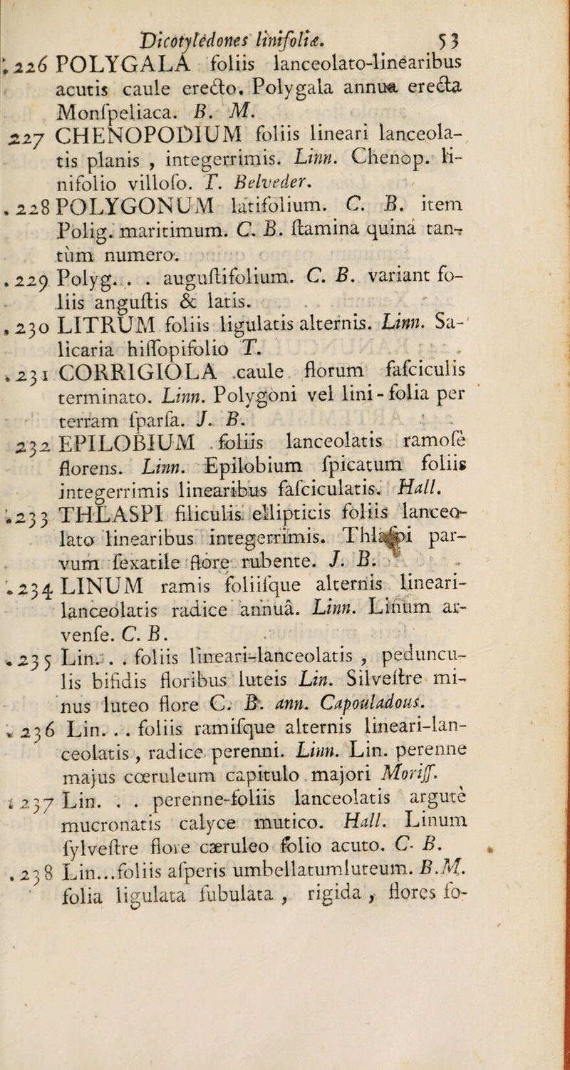 26 POLYGALA foliis lanceolato-linearibus acutis caule ere&o. Polygala annuel ereela Monfpeliaca. B. M. zij CHENOPOIMUM foliis lineari lanceola- tis plants , integerrimis. Linn. Chenop. H- nifolio villolo. T. Belveder. . 228 POLYGONUM latifolium. C. B. item Polig. maritimum. C. B. flamina quina tan-? tùm numéro. . 229 Poiyg. . . augullifolium. C. B. variant fo¬ liis anguflis Sc latis. ,230 LITRUM foliis ligulatis alternis. Linn. Sa-' licaria hilfopifolio T. ' . ,231 CORRIGIOLA xaule florum fafciculis terminato. Linn. Polygoni vel lini-folia per terram fparfa. J. B. . 23a EPILOBIUM .foliis lanceolatis ramofè florens. Linn. Epilobium fpicatum foliis integerrimis linearibus fafciculatis. Hall. *233 THLASPI filiculis ellipticis foliis lanceo- lato linearibus integerrimis. Thiaux par¬ vum fexatile flore rubente. J. B. .234 LINUM ramis foliifque alternis. lineari- lanceolatis radice annuâ. Linn. Linum ar- venfe. C. B. * 235 Lin. . .foliis lineari-lanceolatis , peduncu¬ lis bifidis floribus luteis Lin. Silveflre mi¬ nus luteo flore C. B. ann. Capouladous. * .236 Lin. . . foliis ramifque alternis lineari-lan- ceolatis, radice perenni. Linn. Lin. perenne majus coeruleum capitulo majori Morijf. * 237 Lin. . . perenne-foliis lanceolatis argute mucronatis calyce mutico. Hali. Linum fylveflre flore cæruleo folio acuto. C- B. .238 Lin...foliis afperis umbellatumiuteum. B.M. folia ligulata fubulata , rigida flores fi>
