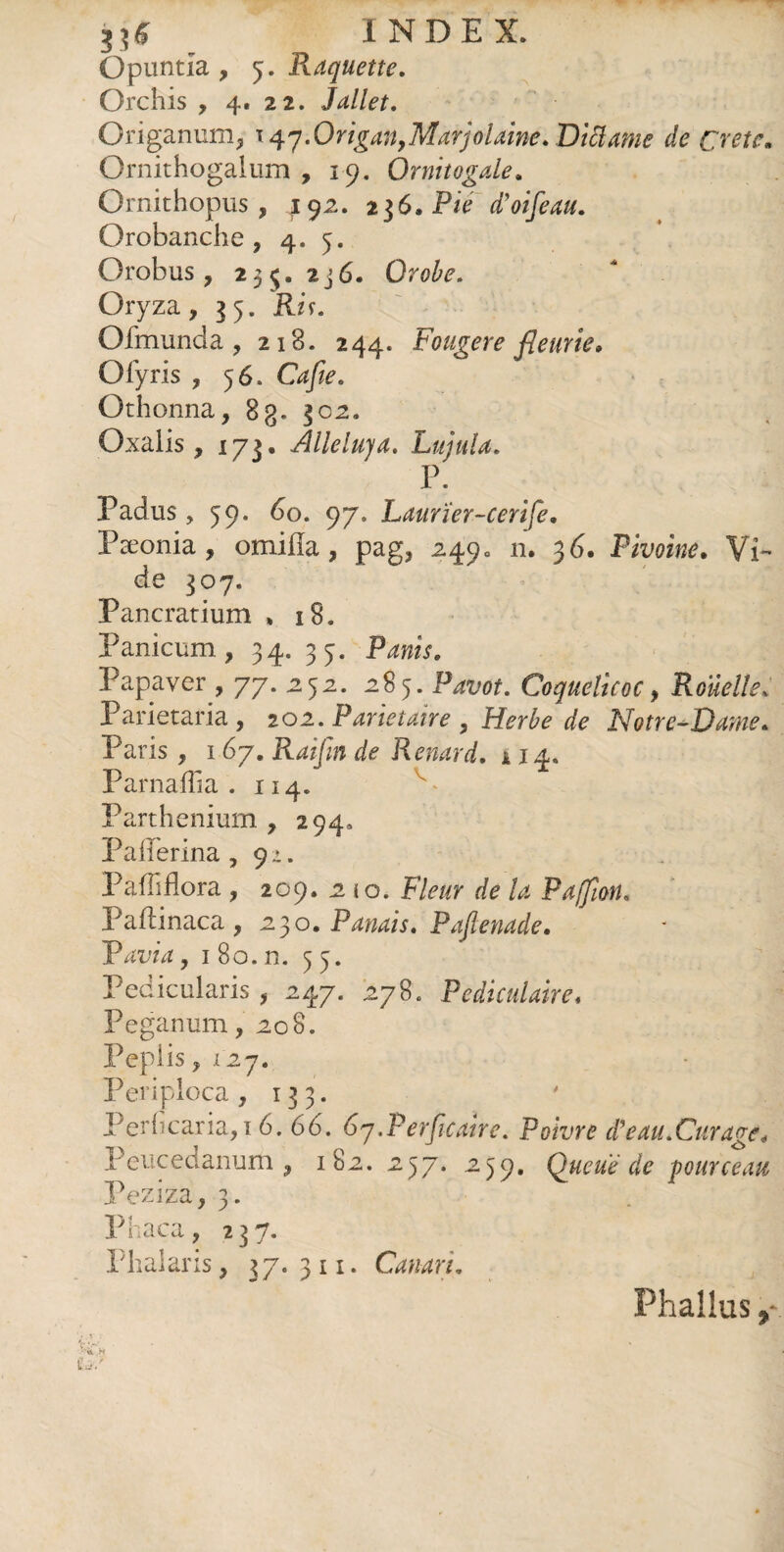 Opuntia , 3. Raquette. Orchis , 4. 22. Jallet. Origanum, x 47.Origan,Marjolaine* Diiïame de Crète. Ornithogalum , 19. Ornitogale. Ornithopus , 492. 2$6, Pie d’oifeau. Orobanche , 4. 5. Orobus, 235. 2j6. Orofo. Oryza, 35. Ris. Ofmunda , 218. 244. Fougere fleurie» Ofyris , 56. G*/k. Othonna, 83. 302. Oxalis, 173. Alleluja. Lujula. P. Padus ,59. 60. 97. Laurïer-cerife. Fæonia, omilîa, pag, 249= n. 36. Pivoine. Vi¬ de 307. Pancratium » 18. Panicum, 34. 33. Papaver , 77. 252. 285. P*t/w. Coquelicoc, Rouelle, Parietaria, 20 2. Pariétaire , Herbe de Notre-Dame. Paris , 1 67. ^ Renard, a 14. Parnaffia . 114. Parthenium , 294, Paiierina , 9:. PafTiflora , 209. 2 10. Fleur de la Paffïott, Paftinaca, 230. Panais. Paftenade. Tavia, 1 80. n. 53. Pedicularis , 247. 278. Pédiculaire, Peganum, 208. Peplis, 127. Periploca , 133. Perhcaria,ï 6. 66. 67.Perficaire. Poivre d'eau.Curage* Peucedanum , 182. 237. 239. Queue de -pourceau Peziza, 3. Phaca, 237. Phalaris, 37. 3 11. Canari. Phallus 9