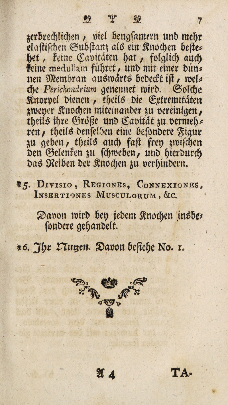 lerbrecblicben, »iel beugfamern unb mebt elafiifckn @ubjian$ aB ein Knocpen beffe* tyt, feine <2at>itdfen fyat r folglich audf) feine meduliam führet / unb mit einer bün* nen Membran auStodrB bebecft tjf / loel* d>e Perichondrium genennef tüirb. @olcf)e Knorpel bienen f tbeiB bie ©jctremitdten *toeper Knoten mifeinanber ju pereinigen, tpeiB ihre ©rb^e unb ©aoifdf j« pertnelj* ren f ttyü$ benfefben eine befonbere $igur ju geben/ tf)eiB nucf) faji frep jroifcpeti ben ©elenfen ju fcBmebe«/ unb bterburch bcB Reiben ber Knochen ju perbtnbcrn. / ' Mg. Divisio , Regionss, Cownexiones, Insertiones Musculorum, &a S£a»on wirb bep jebern Knoten jnbbe* fonbere gcljftnbelt. t6. Vtugen. Sftpon befiele No. r. «§k .(SS» tf 4 TA,