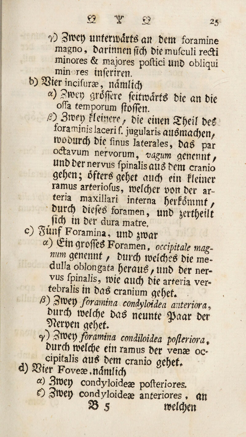 !< 7) URfettbdrfd an bem foramine magno. Darinnenftd) t>icmufculire&i minores & majores poftici unD obliqui min >res inferiren. b) SSicr incifur*, namltcf) «) PttH'p grdffete fettrodrfd bic an Die ofTa temporum ffoffen. tö Swtpflmm, bte einen SfyeH m ioramjnis iaceri f. jugularis aadntöd)en» imnird) Me finus laterales, bös par octavum nervorum, vagum genannt/ iMDbernervus fpinalis an$\>em cranio mm; öfter« ge^et and) ein fkincv ramus arteriofus, welcher non ber ar- teria maxillari interna fjerfdtttntf f ‘ burcö Mefed foramen, unb terfbeilf ^, fld) tn ber dura matre, CJ tfUnf Foramina, unb $roar a-) d^bf]ed Foramen, cccipitale mus- mtm genenn(, burd) rocicfied bie me- dulla oblongafa {jer«u$/unb ber ner- v»SfpinaJis,TOeau*4ar«riavJ. febraJis in baö cranium ge()ef* foramina condyloidea anteriora«, £iu’d) mifyt neunte 33aar t>er Wtwn gefjef. ^^ep foramina condüoidea pofteriora 9 Ourcb n>ef$e ein ramus Der venae oc* cn cripitalis au£ t>em cranio öebef# d) 2?ter Fove*,n<fmItrf>  a) 3tt)ep condyloideae pofteriores. 0 3mei) condyloideae anteriores , fln