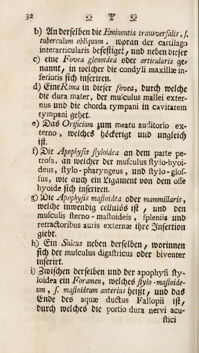 b) %n beleihen bie Eminentia transverfdis, /. tuberculum obliquum , tboran der carüJago interardcularis befefltgei/unb neben btefer c) eilte Fovea gienoidea ober articularis ge« Jtttnntt in welcher ine condyli maxillae tn- ferioris fi$ inferiren. d) üineRma in biejer fovea, burd) welche die dura mater, ber mulculus mallei exter- nus unb Die Chorda tympani in cavitatem tympani gel)ef. e) Sab Orificium juttl meatu auditorio ex- terno» roeldKb i)dcfertgt mt£> ungleich tjf* 0 sXe Apophyßs ßyloidea ön bettt parte pe- trofa, an n>e(d)er ber mufculus ftylo-hyoi- deus, ftylo - pharyngeus, unb ftylo-glof- ius, rote anct) ein Ligament non bero offe hyoide ftd) inferiren. §D Apophyßs maßoidea ober mammillaris, roeidje inrotnbig cei/nidb tji , unb ben mufculis fterno - maftoideis , fpleniis unb retradtoribus auris externae ihre Sllferlioit gtebt h) (£in Sukus neben berfefben, roorinnen ftct) ber mufculus digaftricüs ober biventer inferirt i) 3roifd)en berfeibett unb ber apophyfi fty- loidea ein Foramen, rocld)eb ßylo - maßoide- um, ß maßoideum anterius f)ei$t i Unb Dab <^nbe beb aquae dudtus Fallopii iß, burci) roelctjeb bie portio dura nervi acu* ftici