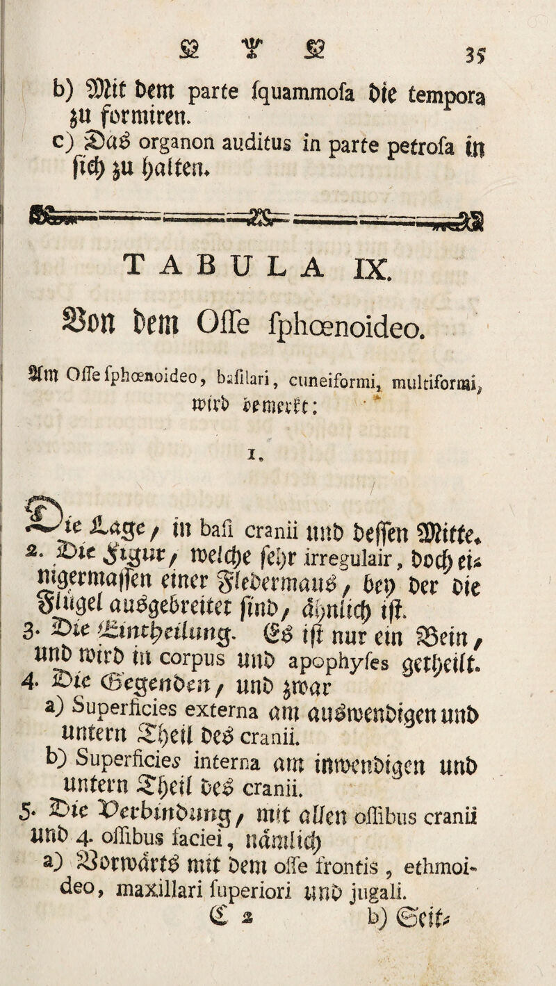 b) S)tit bent parte fquammofa t>(e tempora ju formiren. c) Sab organon auditus in parte petrofa in ftcf> 5U gölten. tabula ix. S3on feem Offe fphcenoideo. i Sfm Oflefphcenoideo, bafilari, cuneiformi, multifonai* nur& teumtt: i. / 1 . 1 Lage , in baü cranii nab befielt ÜÄitte« 2. 3Dte jjtgM/ Welche (eS)r irregulair, bocbeU nmerma|fen einer giebermaub, bei) Der oie oUiget aubgebreitet ftnb, ähnlich tfi. 3- iDte Ozuitlpeütmg. <g$ ift nur etn SSein, UnD U'trb ttl Corpus mit- apophyfes qctbciit. 4- &ic (ßegenbfii, unb jroar a) Superficies externa am aubtuenbtqett Uitb untern Sfyeil beb cranii. b) Superficies interna am intDCnöiqCU unb untern Sijcii beb cranii. 5* S-ic Uecbmbimg / mit aftcn offibus cranii URb 4. offibus faciei, ndntlici) a) üöomdrtb mit bern offe frontis , ethmoi- deo, maxillari fuperiori unb jugali. (£ s b) ©eit#