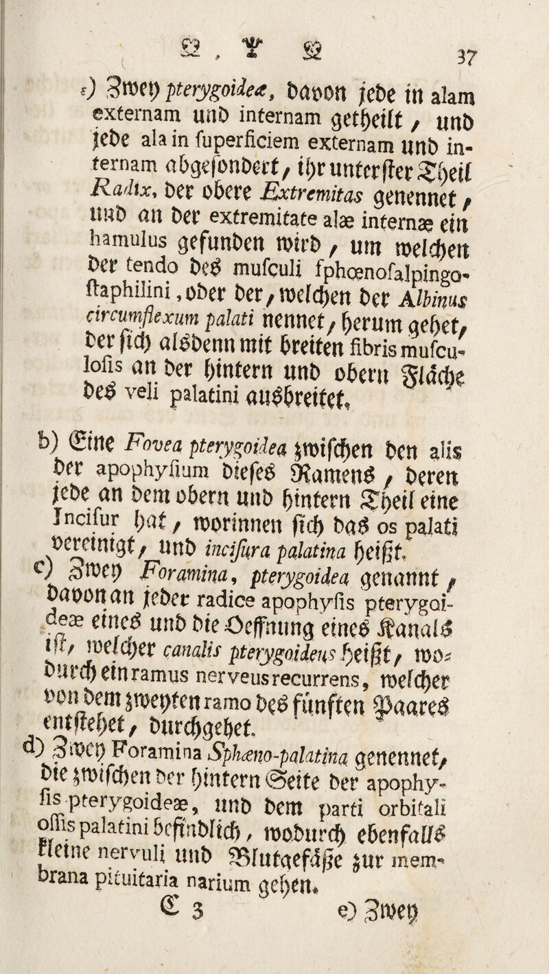 f) Sroet) ptetygoide*, baoon jebe in alam extemam unö internam gereift , unö jct>e alain fuperficiem externam unö in¬ ternam öbgefonberf, ihr unter fier Sheit Radix, Der obere Ext/mitas genetutef. tiub an Der extremitate alae interna; ein hamulus gefunöeu roirb, um welchen öer tendo beb mufeuli fphcenofalpingo- ftaphiiim,ober öer, meinen öer AlMnus circumflexum paiati nennet, herum aehet# öer ftef) alböenn mit breiten fibris mufeu- lofis an Der hintern unö obern giacbe öeb veii paiatini aubbrettet. j ■ -- b) (Stne Fovea pterygoidea pifc&en Öen alis öer apophyiium Diefeb öiamenb, bereit jebe an Dem obern unö hintern £b«i eine J nciiur hat, morinnen (ich bas? os palatj oeretntgt, Unö indfura palatina h ^roeh Foramina, pterygoidea genannt , öaoonan ieöec radice apophylis pterygoi- dem etned unö Die öeffntmg eineö Jfanalb I ./.rne!eher canälis pterygoidens f)ti$t/ WO« öntcheinramus nerveusrecurrens, welcher oon öem mm ramo beb fünften §>a«red entliehet, Durchgehet. d) 3‘öCt) Foramina Sphano-palatina genennef, bie glichen Der hintern ©eite Der apophy- iis pterygoide®, unD Dem parti orbifali oms palatmi brftnbficb, woburch ebenfalls fetne nervmli unö 5Bfufgefd|je Jur mem- orana pnuiüaria narium qeften* G 3 e) 3n>et)