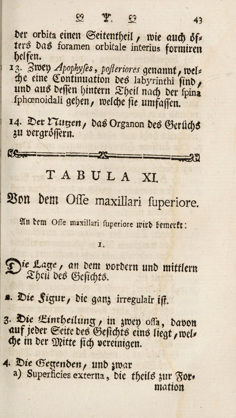 btt orbita einen ©etfenffxtl , me <uicf) i3f* tfrö bat> foramen orbitale interius fonuirett Reifen. , i 13. Stuet; Apophy fes, poßeriom genannt * tnel< qe me Gontinuation beel labyrinthi fmb, unb au$ befien l)infern ä'()et( na cf) ber fpina fphoenoidali gelten, rocfcfte fit umfaffen. 1 14. sbetttwsen, bafi Organon befi ©eriioliS ju öergrofjern. i - ■■»'«A3 TABULA XI. ; t)Cfil OlTe maxillari fuperiore. Sfti bent Ofie maxillari fuperiore tricfc fcettictftt 1. ©k 4^, an bem »orbern unb mitflem ^ £fccü m ©cftcfite. 8 fcte ^tjgut, t>te ganj irreguiair iß. 3. 3>ie ^imheilun^ , in jroep o.Ta, baöbtt «ufjeber ©eitebeä ©efidfitei eins liegt/tuel* »n ber stifte fidj Bereinigen. 4- iDte (Begenben / unb jroar a) Superficies externa, bie tf)eilfi $ur ^or* ttiation
