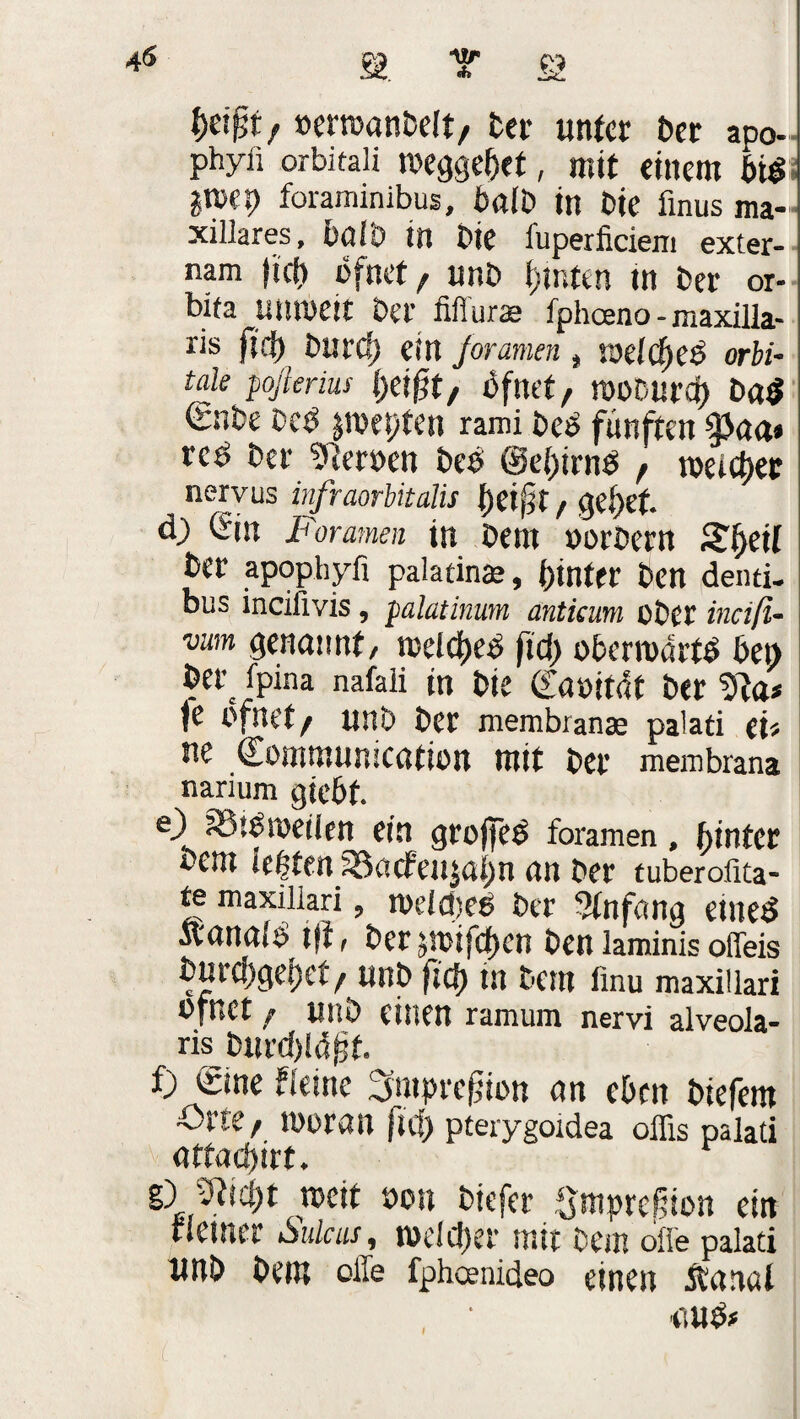 »errcanbelt, Der unter Der apo- phyii orbitaü weggebet, mit einem bi$ ^r»ep foraminibus, balD in Die finus ma- xillares, halb in Die fuperficiem exter- nam fict) ofnet , unD f>mten in Der or- bita unweit Der fifiuns fpheeno - maxilla- ris fiel) Durcf? ein foramen , wefdjeß orbi¬ tale pojkrius l)eifit/ Dfnet/ woDurd) Da$ €nDe DcD &roepten rami De*> fünften $aa» rcD Der Serben Deö @ei)irnb , weicher nervus infraorbitalis \)t\fjx f gel)ef. 4) (Sin Foramen tn Dem »orüern Sfyeil Der apophyfi palafina», hinter Den denti- bus ineiüvis, palatinum anticum ober ineiß- vwn genannt/ weldKb fict) oberwartb Den Derc fpina nafali in Die Saoitdt Der 1e ofnet/ unD Der membranae palati eU ne Somtnunication mit Der membrana narium giebt. e} 33sb weilen ein groffcb foramen, hinter bem ie|fen J8acfeu$ai)n an Der tuberofita- fe maxiilari, welcpeb Der Stnf.'dig eineö Äanaib tfi, Der jwifeben Den laminis olfeis Durcpgepet/ unD fict) tn Dem iinu maxiilari ofnet ? unD einen ramum nervi alveola- ris Durd)iü^t. f) Sine Heine Smprejuon an eben Diefem Orte f woran ficf> pterygoidea offis palati attad)irt. fOsmt weit öon Diefer Smprefiion ein rietner Sulcus, welcher mit Dem ofle palati unb Dem offe fpheenideo einen rtartal uub* MJl