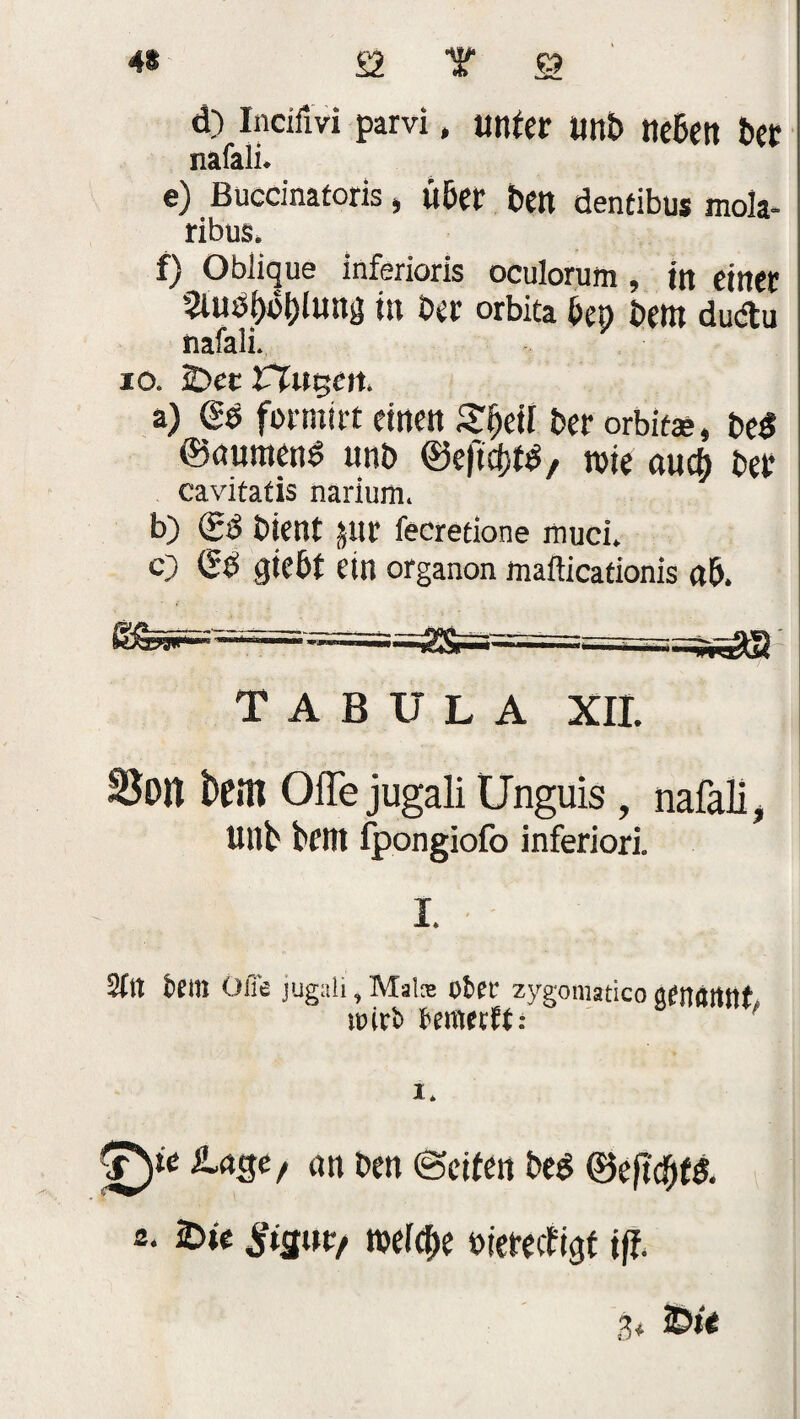 4* £2 Y £? d) incifiVi parvi, unter unß neben Oer nafali* e) Buccinatoris, über Oen dentibus mola- ribus. f) Oblique inferioris oculorum , in einer 5luö()ßl)lung in Oer orbita ßen Oeni dudlu nafali. io. 2>ee rtugc»t. a) Qq formtet einen Sfjeil Oer orbita*, 0e$ ©aumenö unO ©eftcßt*, tote (tuet) Oer cavitatis narium. b) (£$ Otent JHl’ fecretione muci. e) SO gießt ein organon mafticationis ftß. tabula xil Son bem OfTe jugali Unguis , nafali, Unb btVX fpongiofo inferior!, km Öfie jugali, Malte ober zygomatico genärtttf mirb bemerk: ' i* J)« Aage, an Oen ©eiten Oeö ©eftcßtS. 2. 2>te Stern roefeße »ierectigt iß